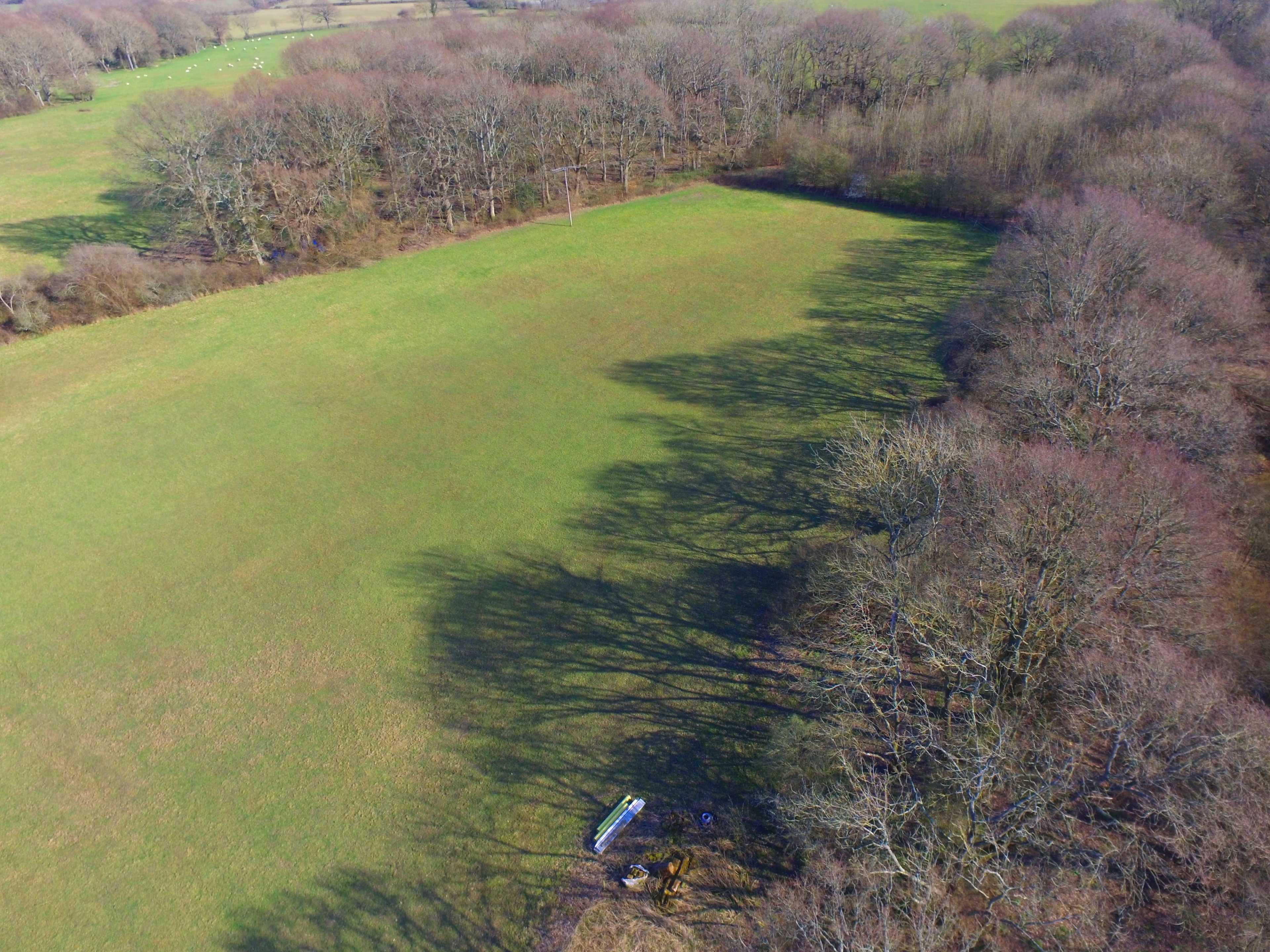 A large green field bordered by a line of trees casts long shadows on the ground.