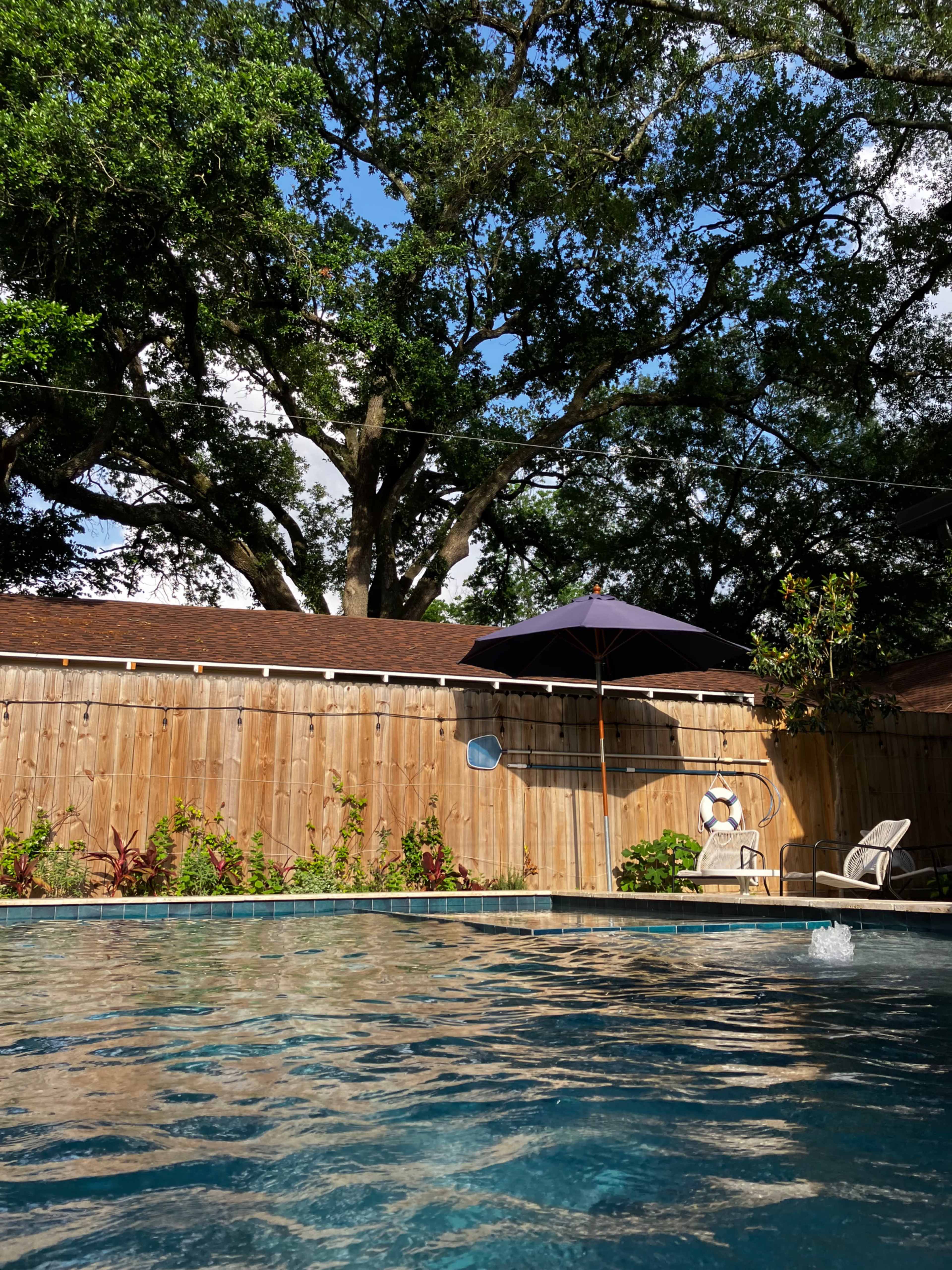 Garden Oasis with lush landscaping and pool Image in Northside, Houston, TX