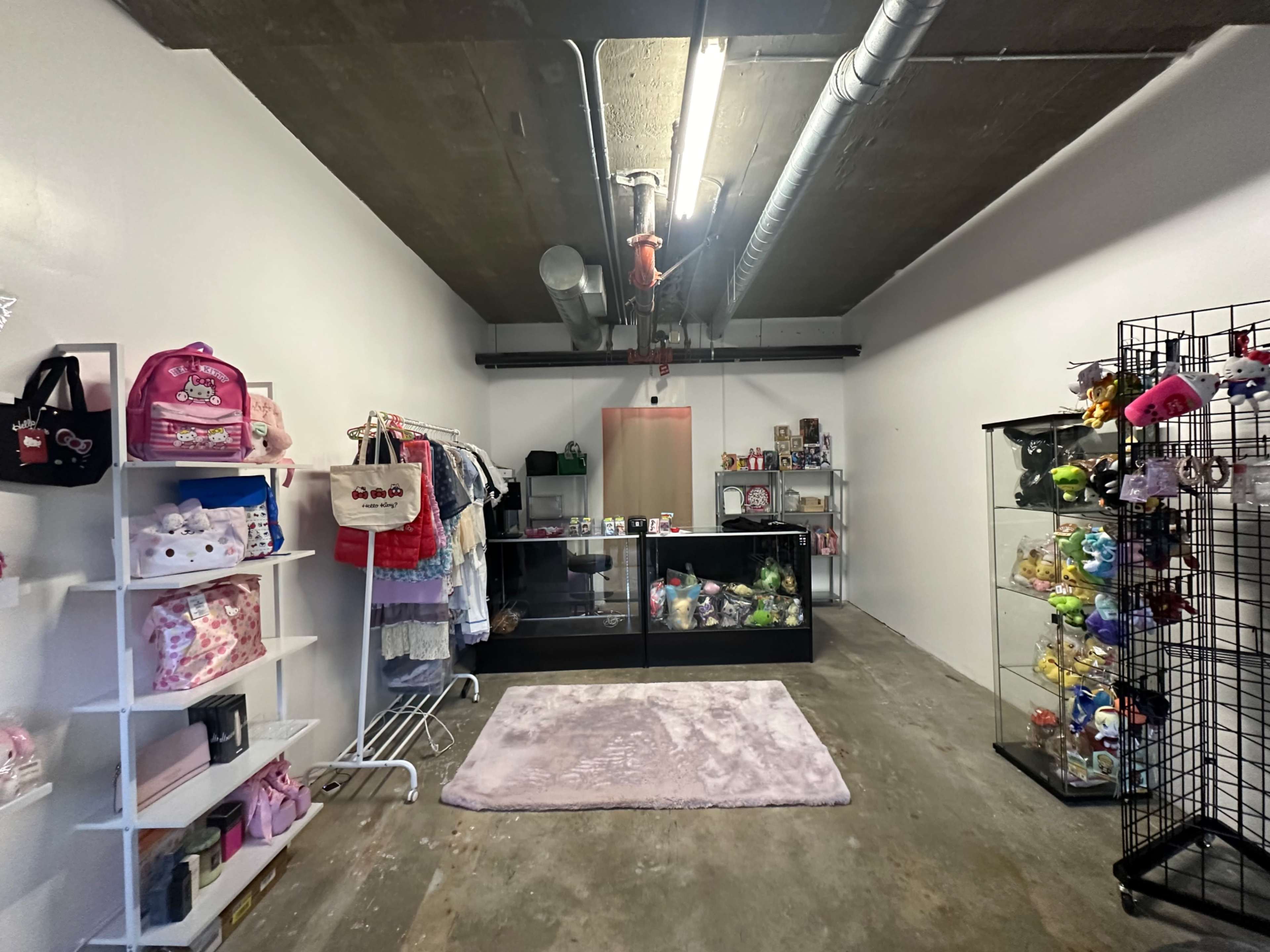 The image shows a small retail space with clothing racks, display shelves filled with various items, and a carpeted area.