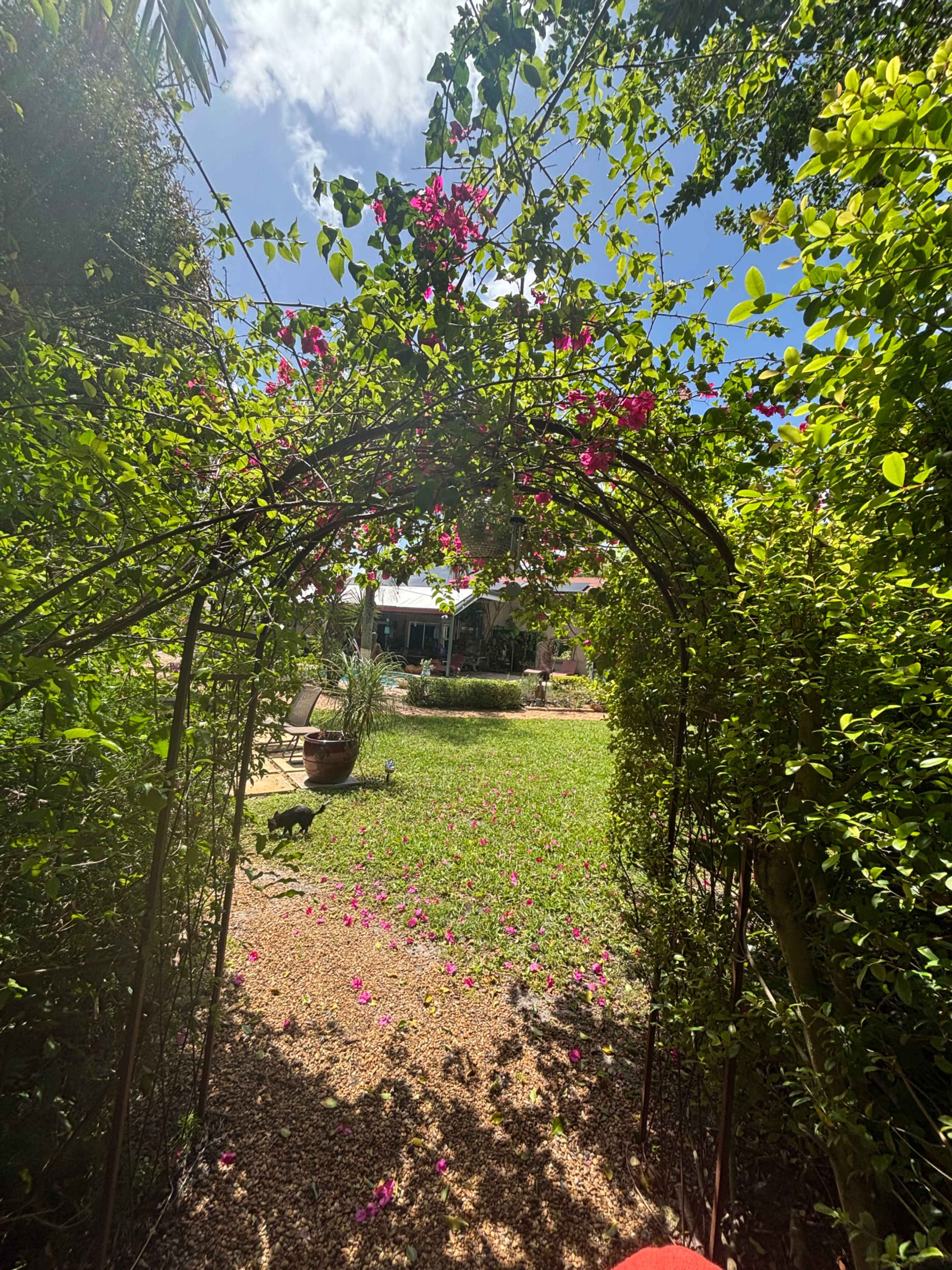 A floral archway frames a green garden with a stone pathway and scattered flower petals under a blue sky.