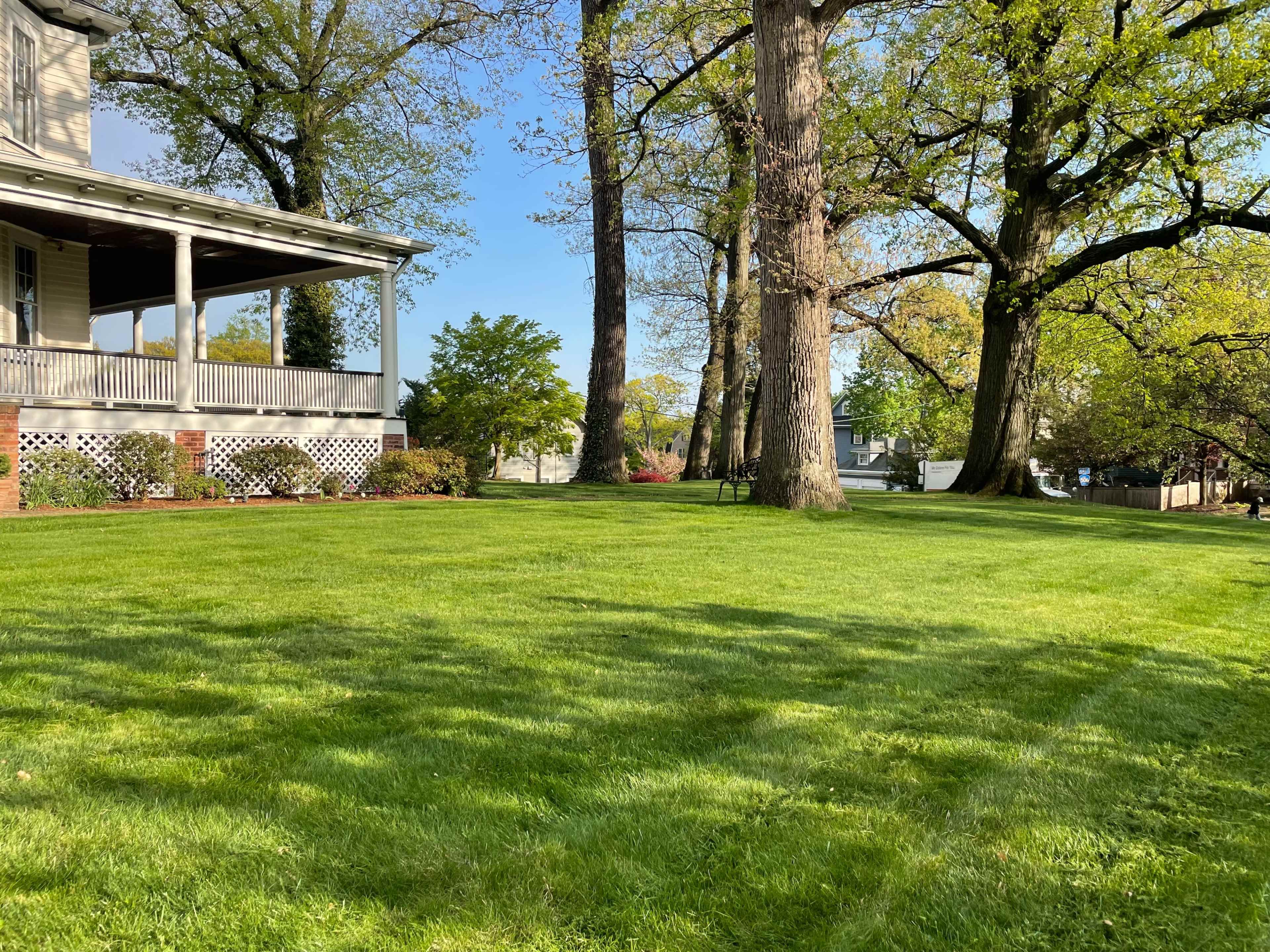 A well-manicured lawn with a large house and several mature trees is visible under clear blue skies.