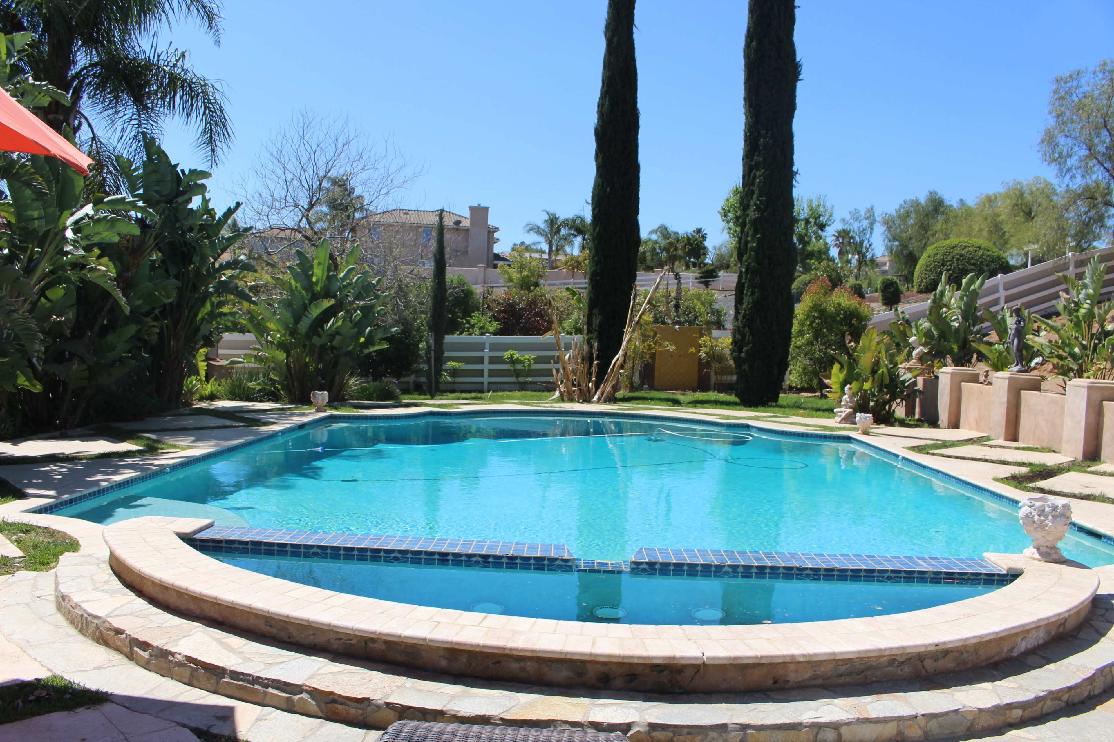 A clear blue swimming pool is surrounded by tropical plants and tall cypress trees in a sunny backyard.