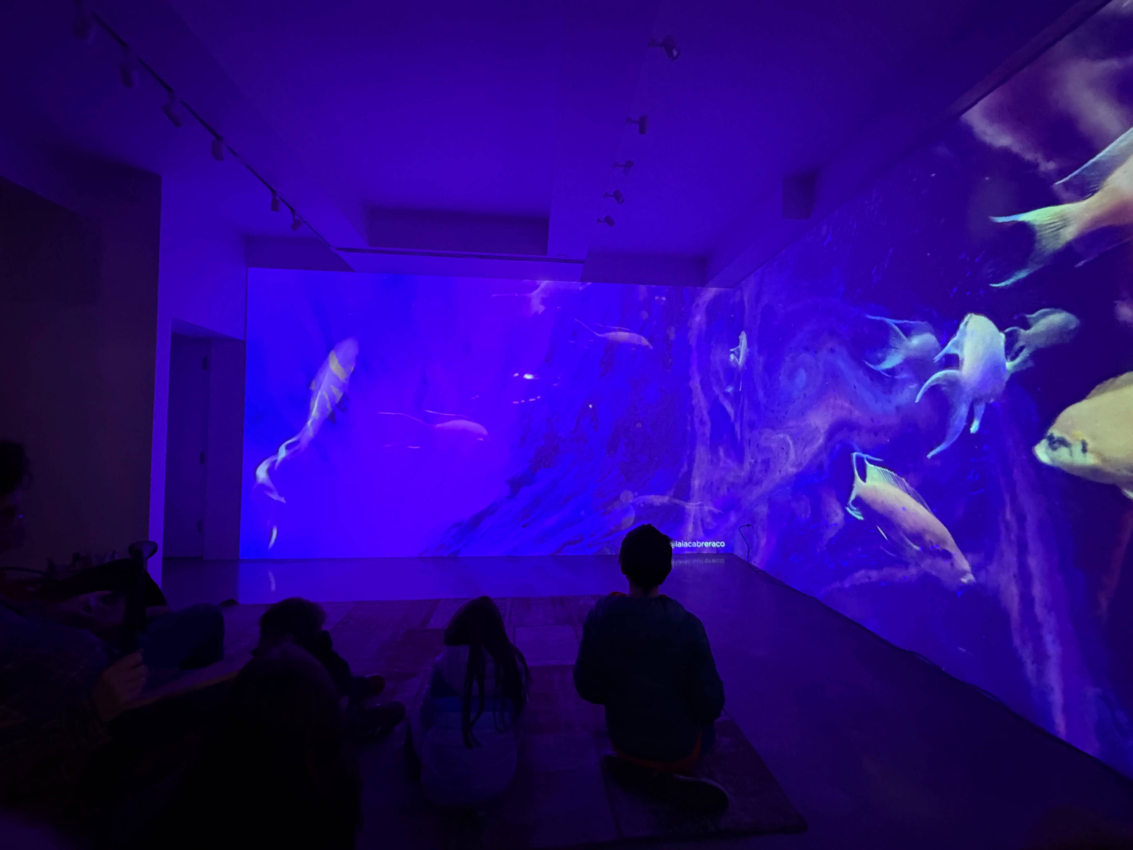 Williamsburg Pop Up Gallery Retail Space Image in Williamsburg, Brooklyn, NY