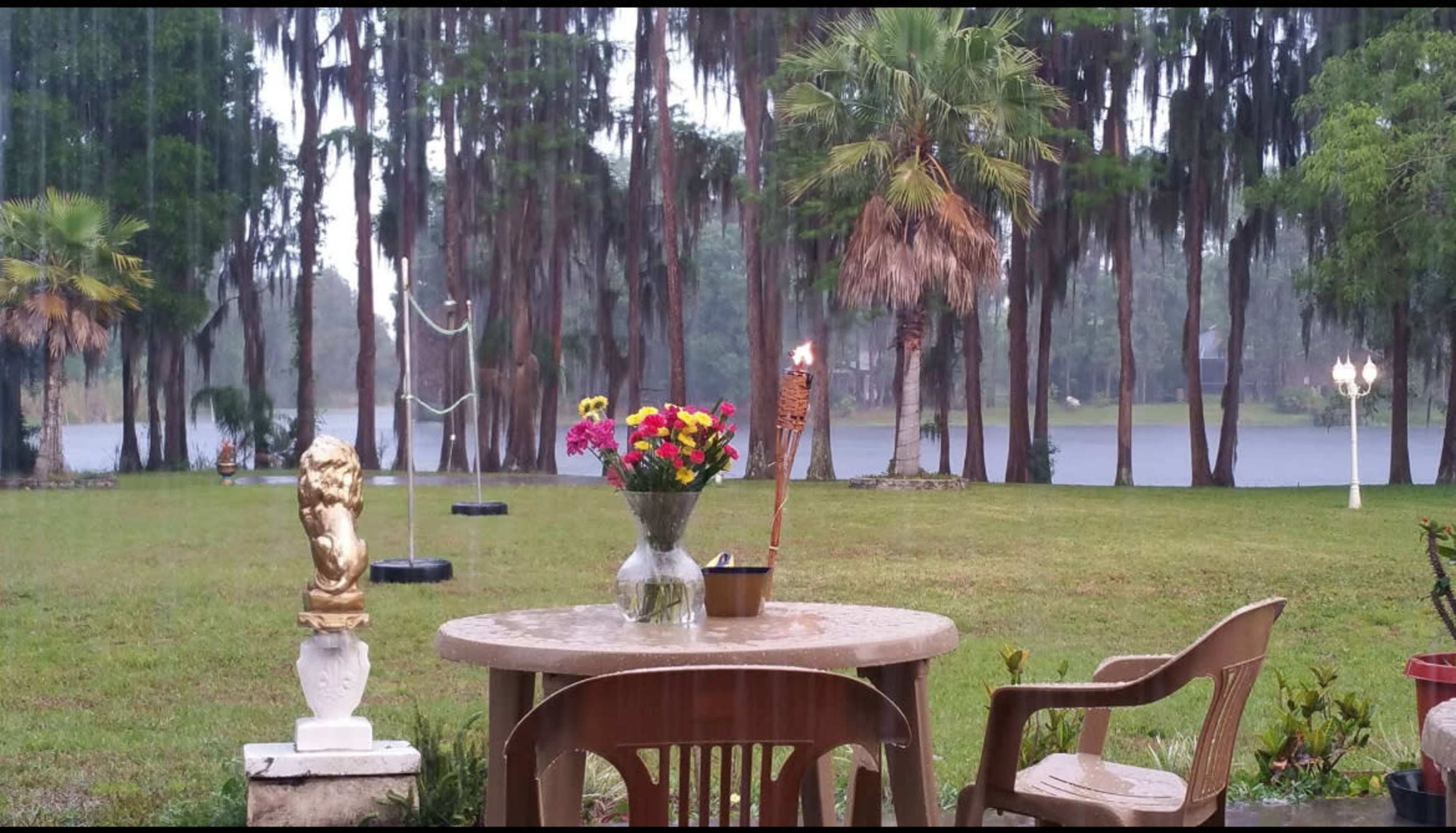 Outdoor Oasis in Odessa on the Lake Image in Keystone, Odessa, FL