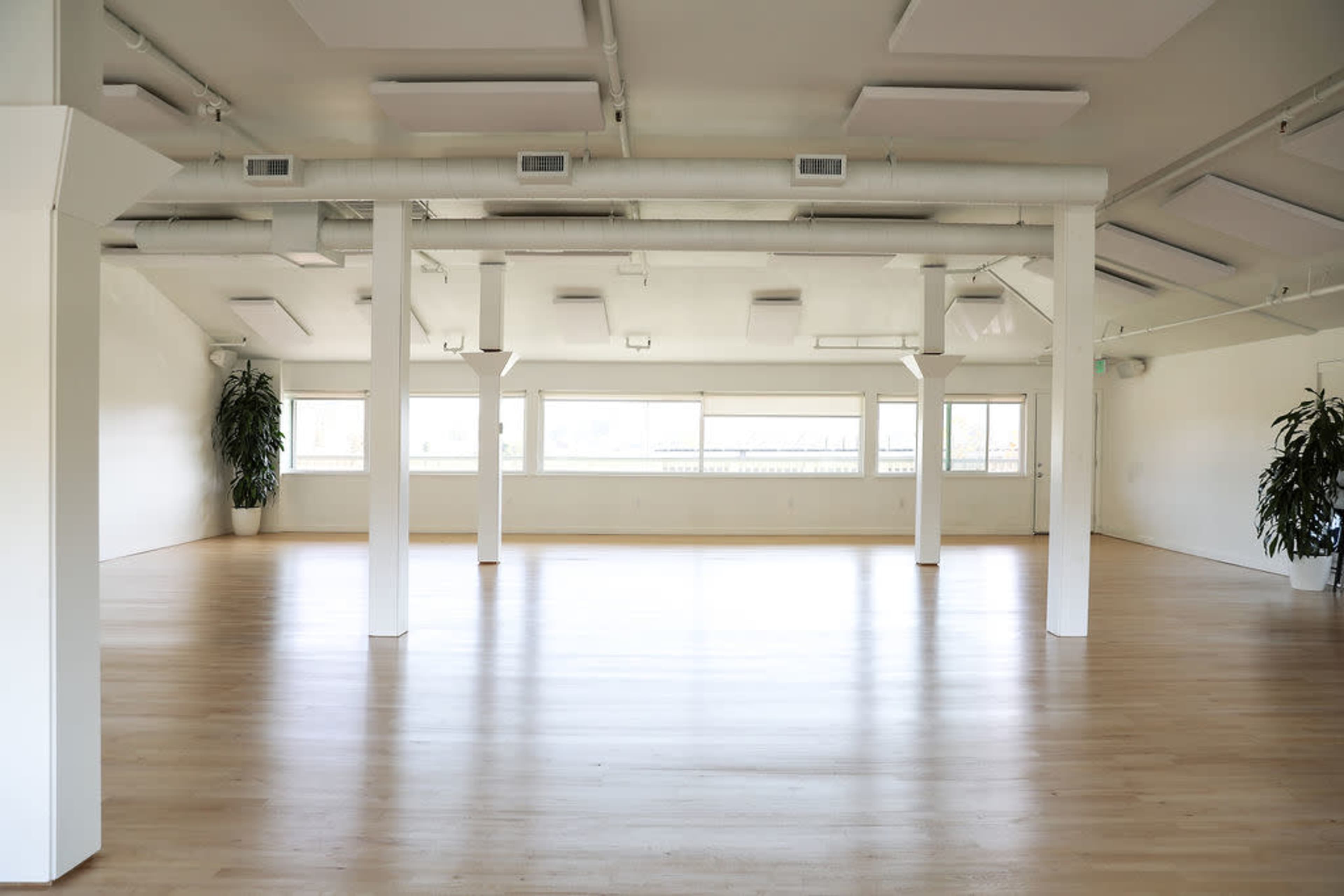 A spacious room with wooden floors, white walls, and large windows, framed by several columns and two indoor plants.