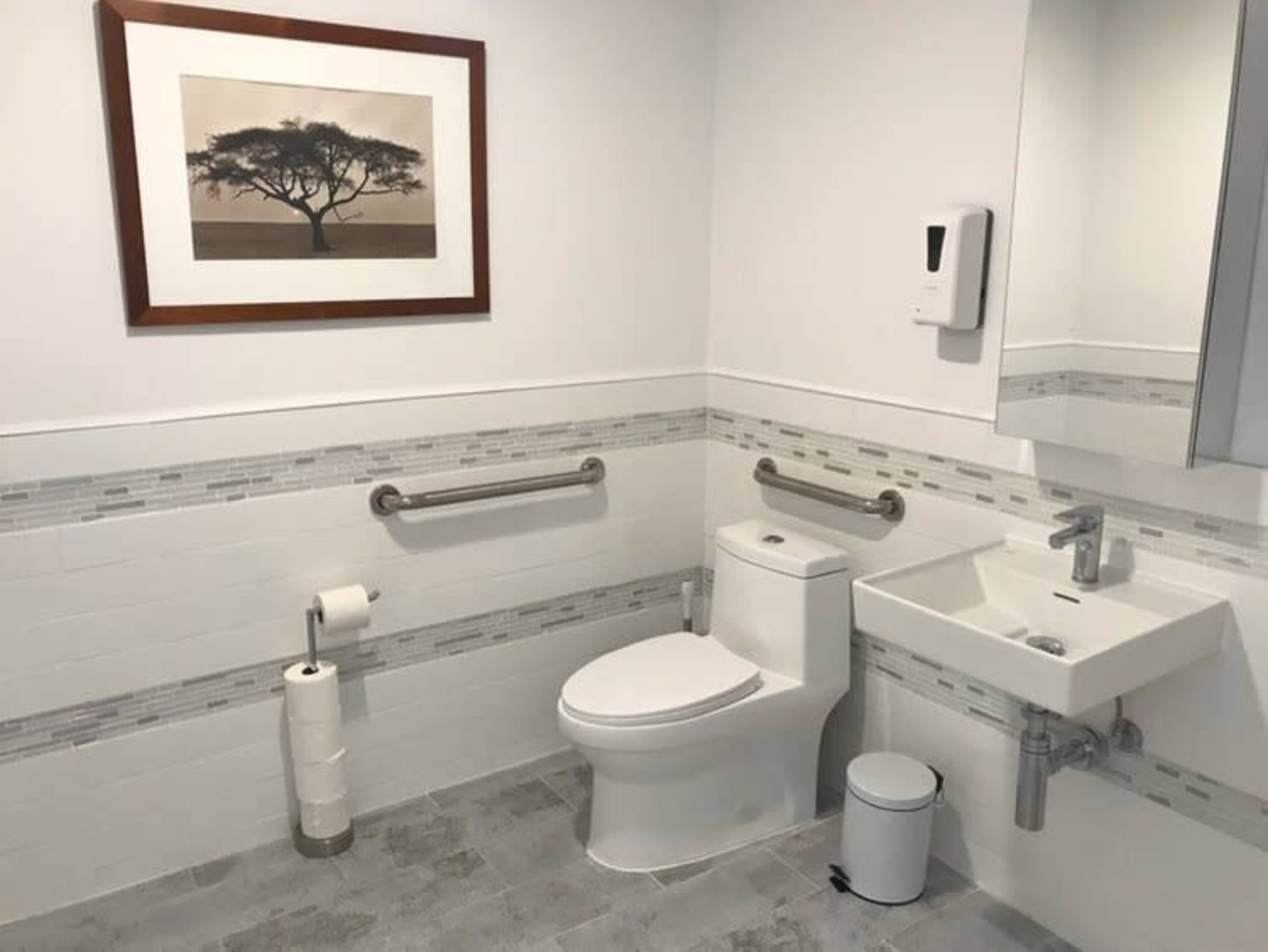 A modern bathroom with a toilet, a small sink, a mirror, and safety grab bars on the wall.