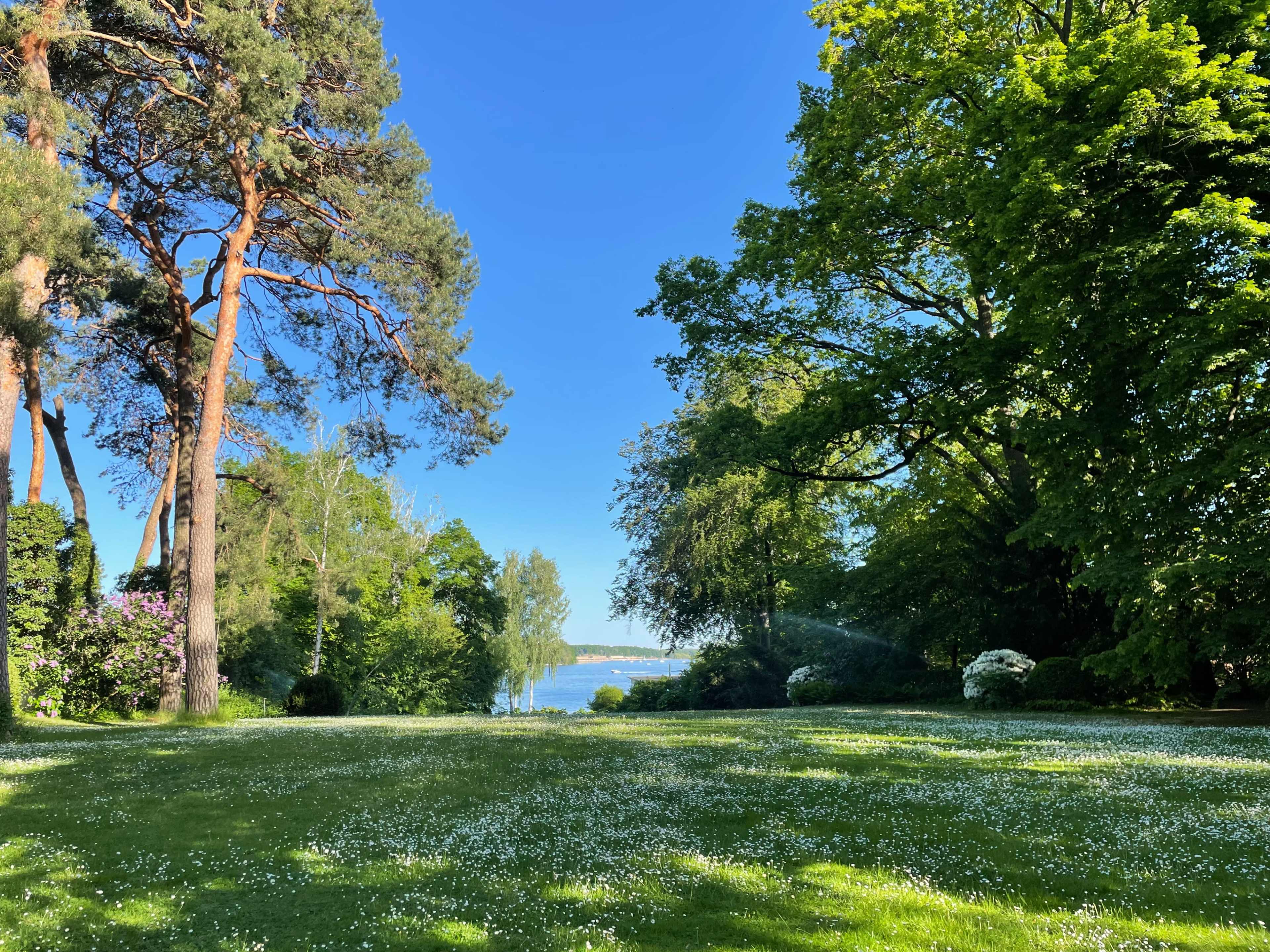A lush green lawn is bordered by tall trees and colorful shrubs, overlooking a serene body of water under a clear blue sky.