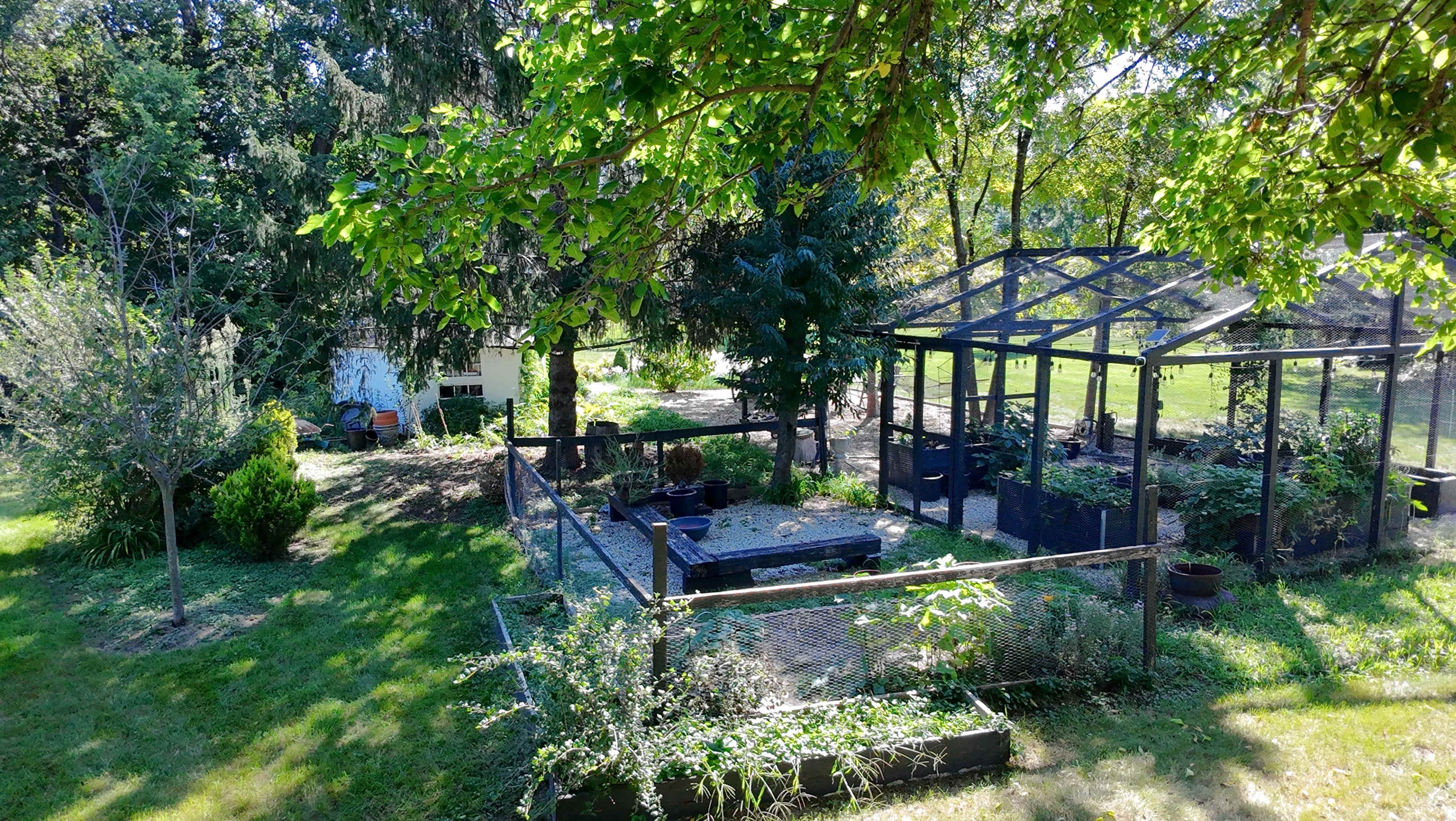 The image shows a well-maintained garden area with raised planting beds enclosed by a black fence and a greenhouse structure in the background, surrounded by lush greenery.
