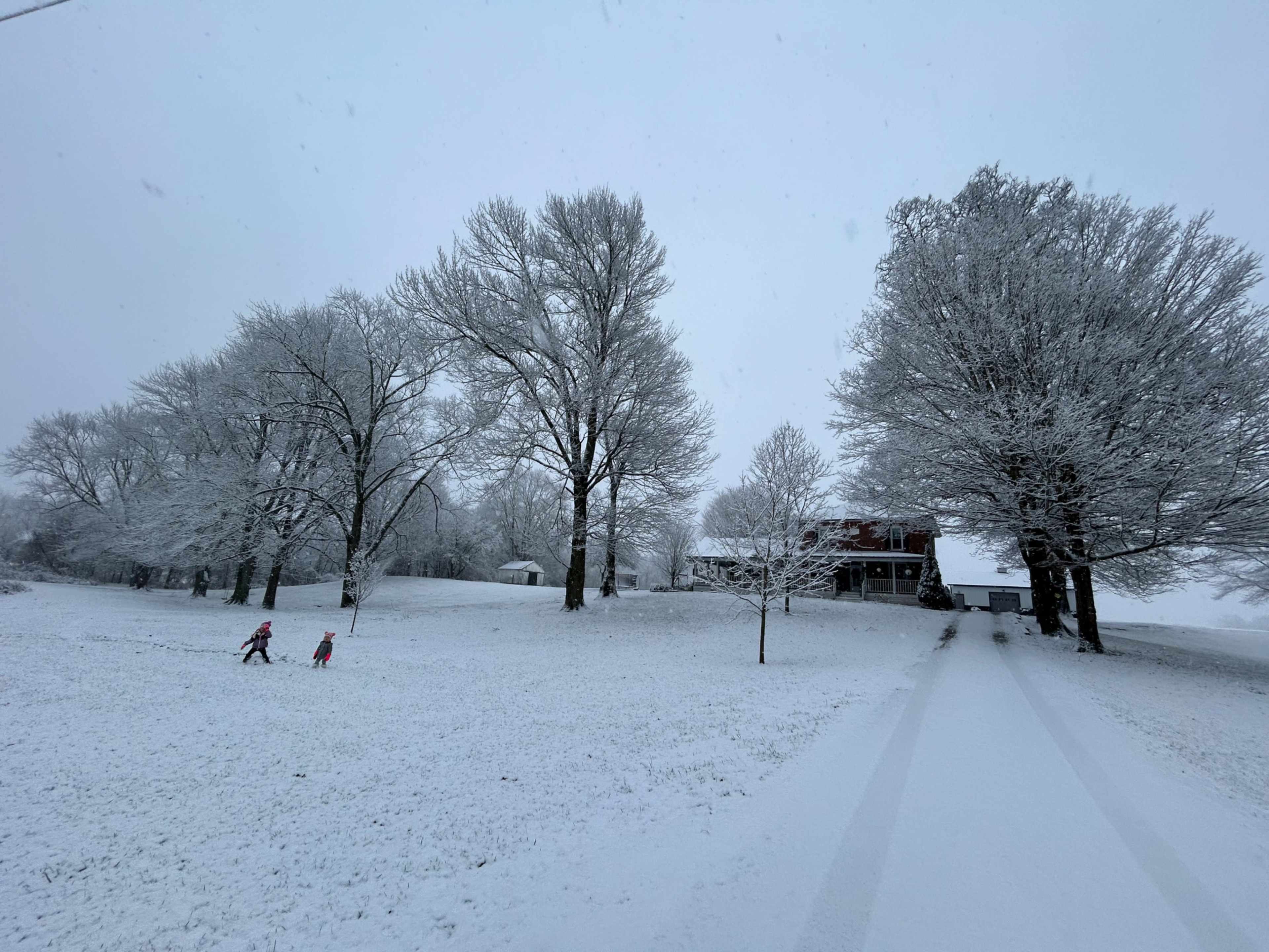 Two children walk through a snowy landscape with large, snow-covered trees and a house in the background.