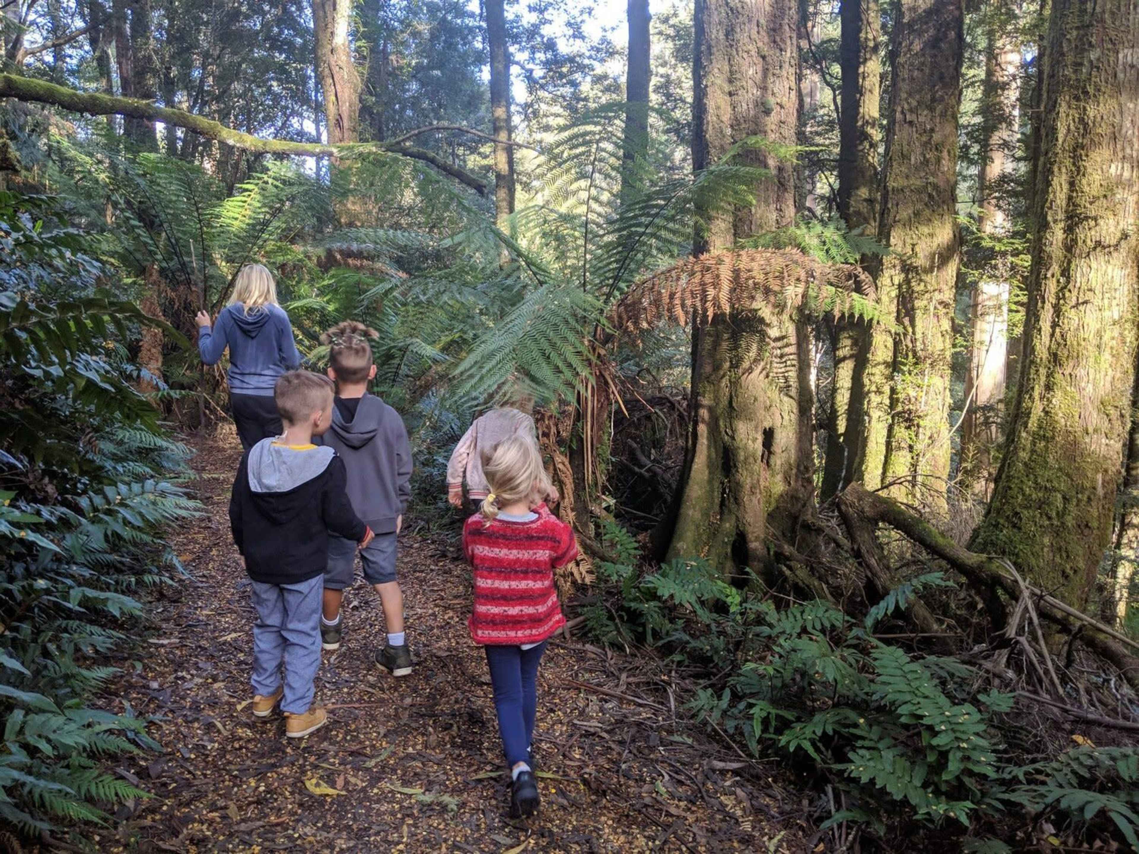 A group of four children walks along a narrow path in a forest surrounded by tall trees and ferns.