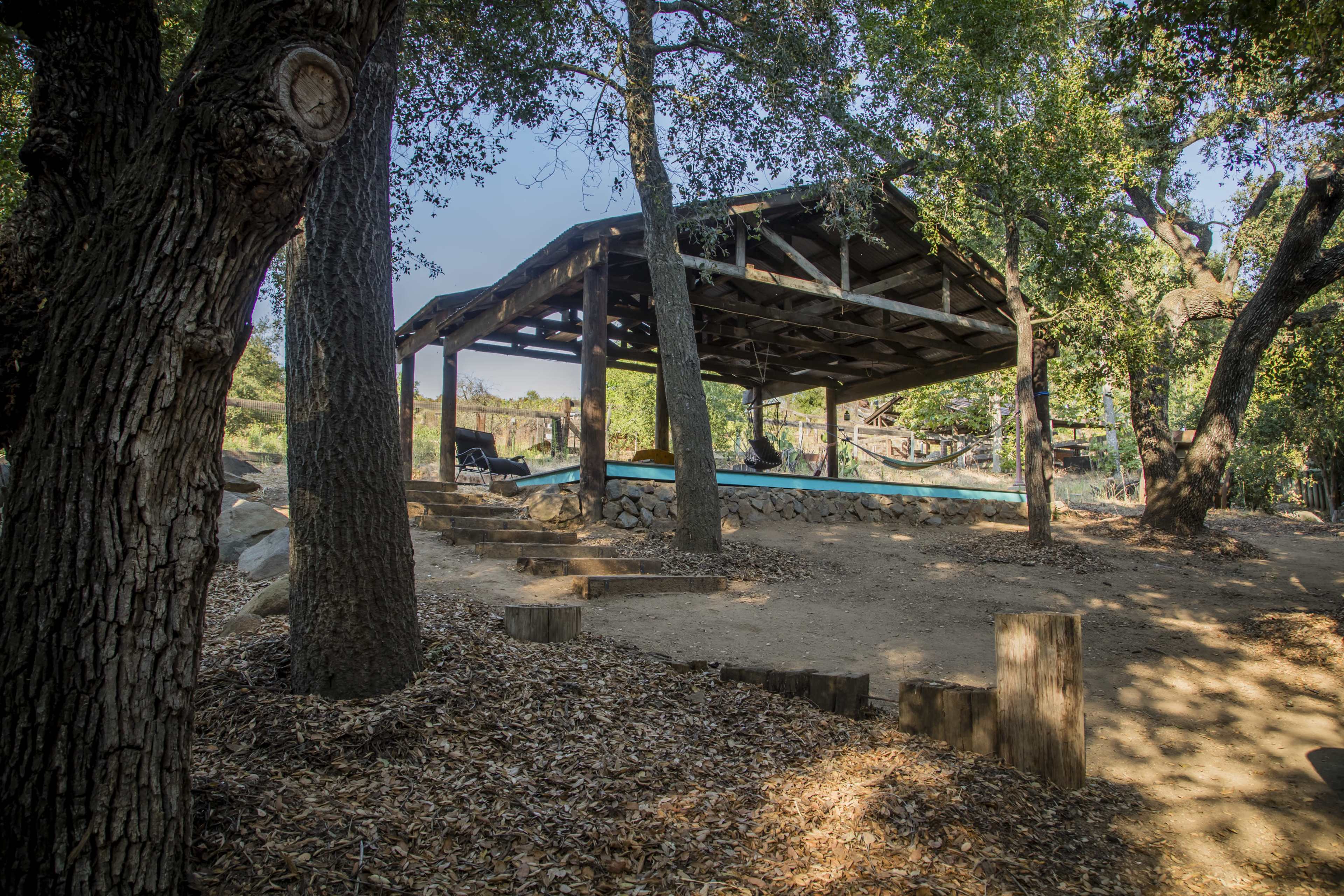 A rustic wooden pavilion with a blue pool is situated among trees and a dirt path lined with wooden stumps.