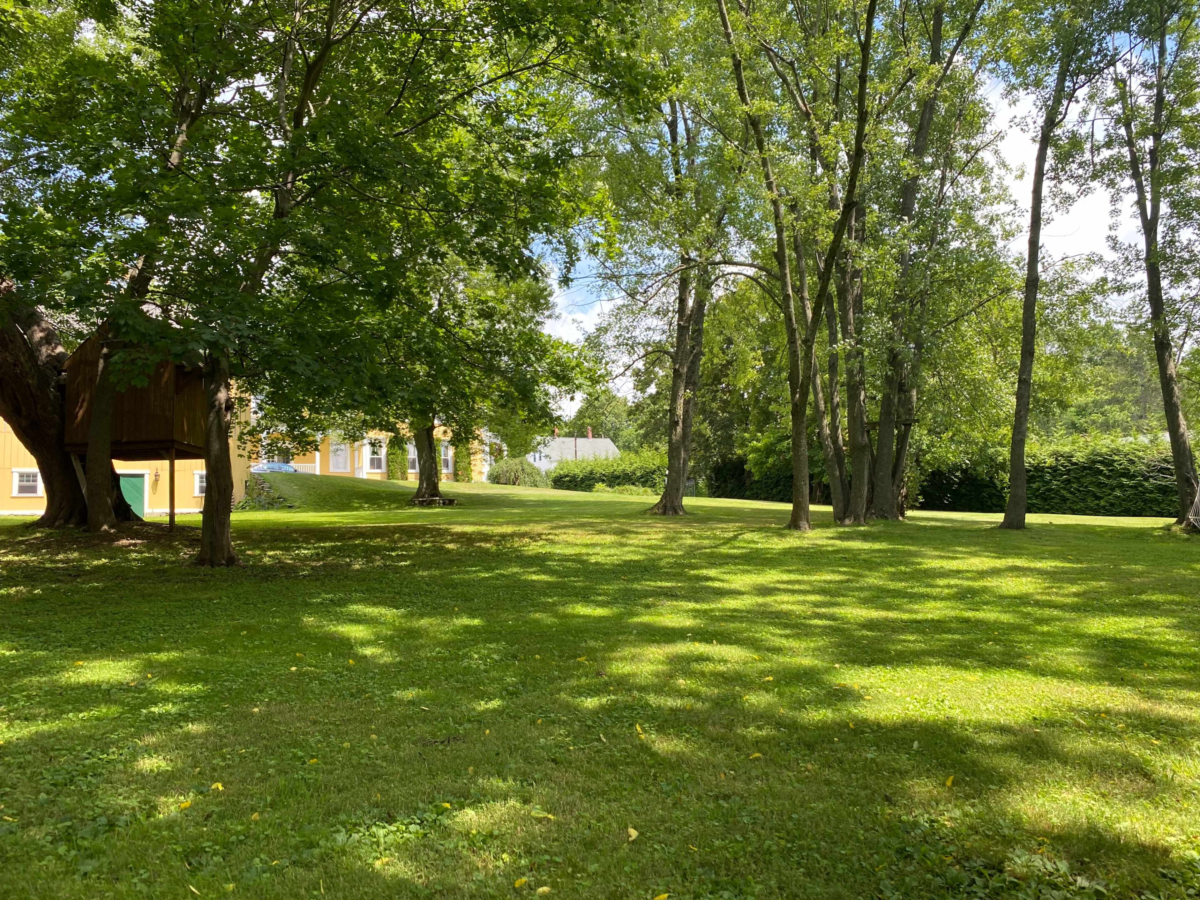 The scene shows a grassy area with several trees and a yellow building in the background under a clear sky.