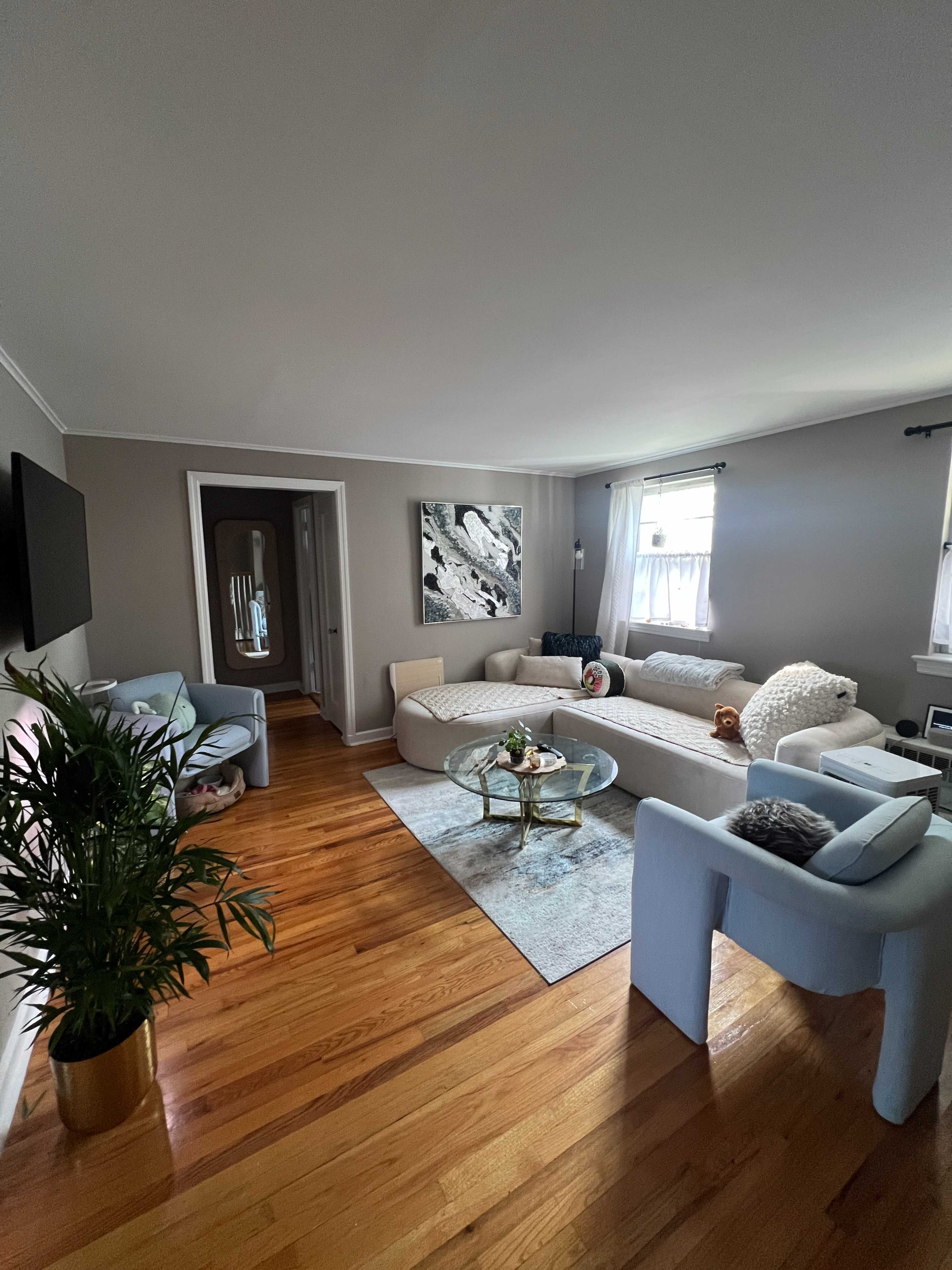 The room features a spacious layout with a light-colored sofa, a round coffee table, two blue armchairs, and a plant, all set on polished hardwood floors.