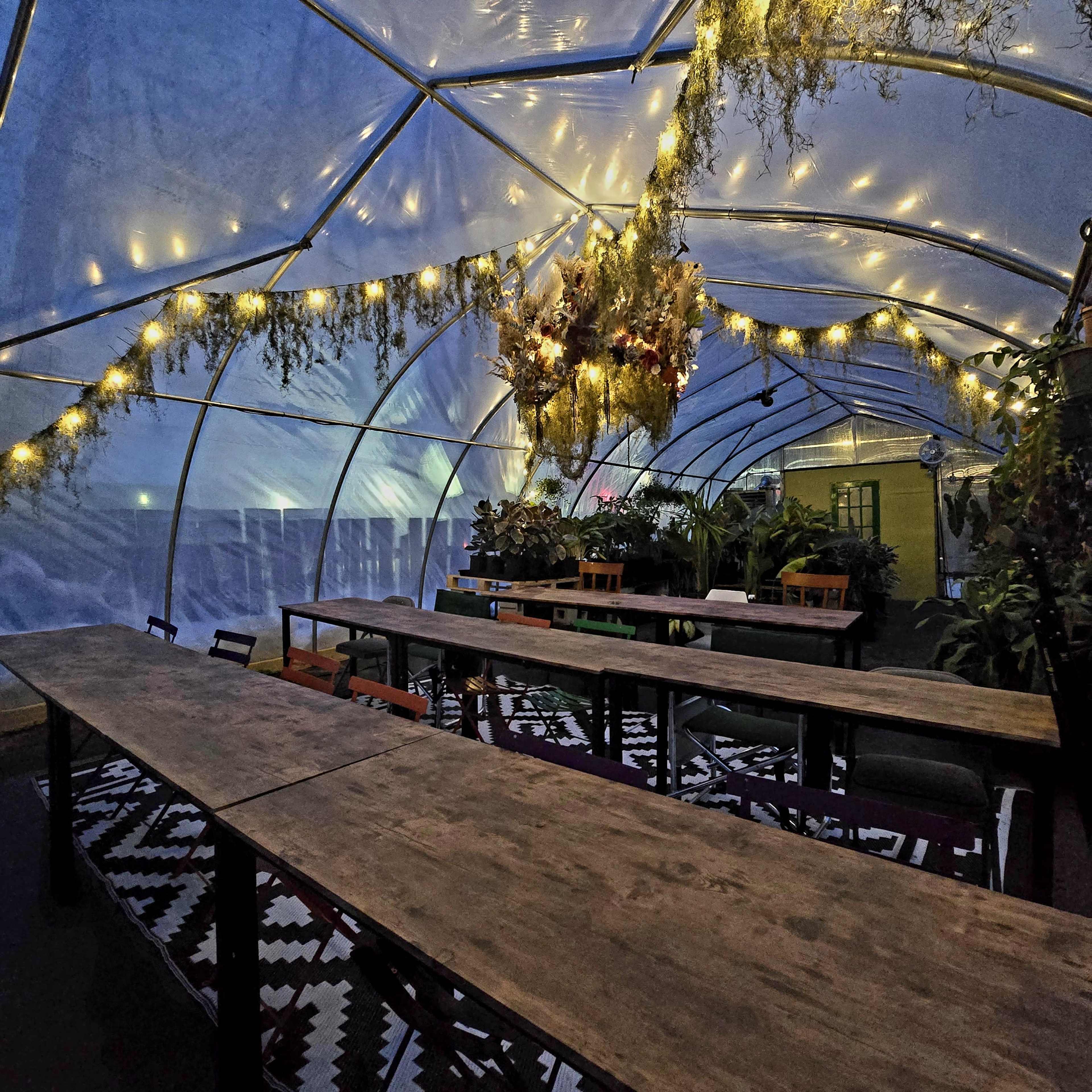 Mood-Lit Greenhouse for Intimate Gatherings & Meetings Image in Elmwood Village, Buffalo, NY