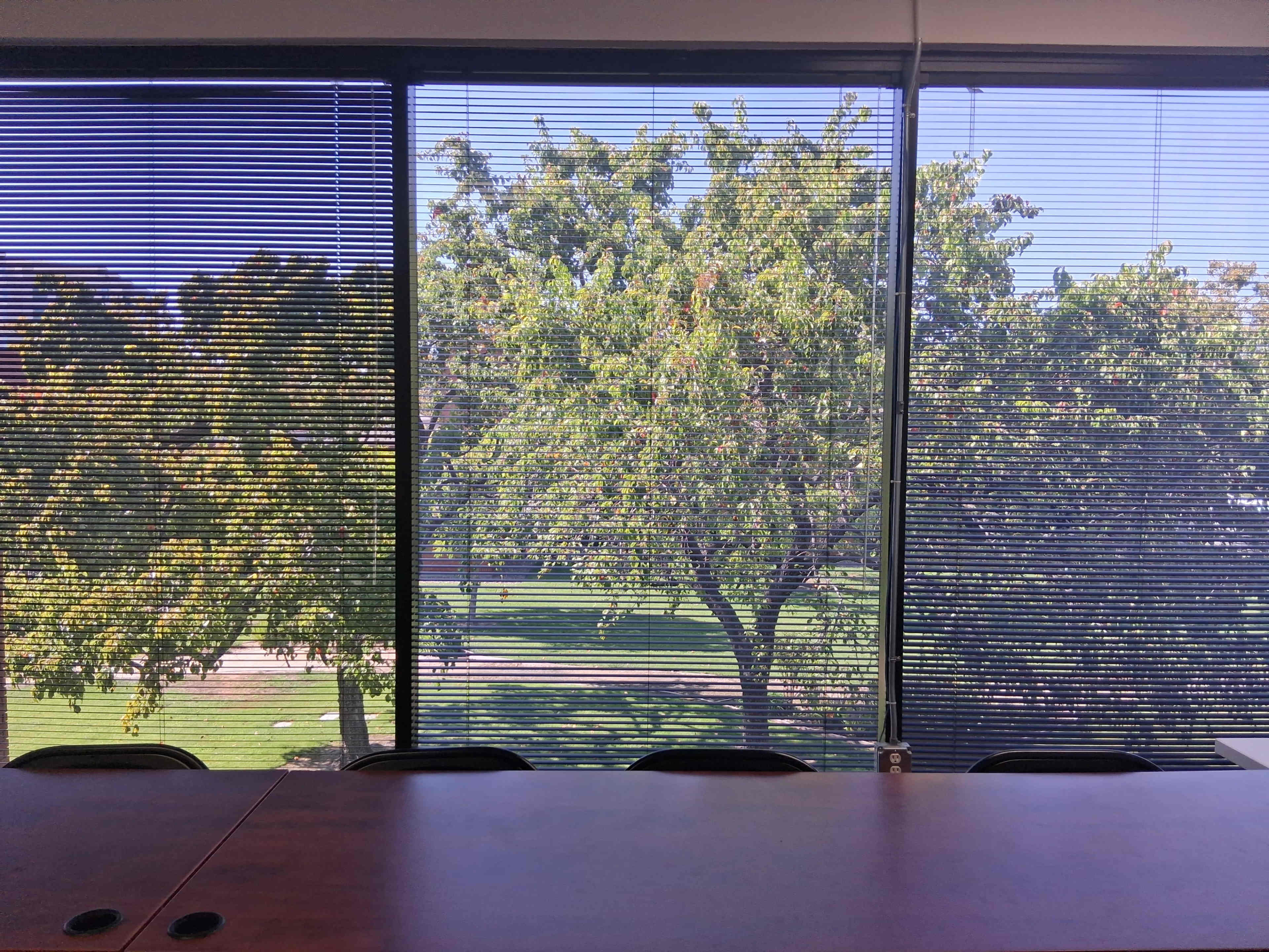 Quiet, spacious, and well-lit meeting room in downtown San Jose, ideal for 11-15 people Image in Rosemary, San Jose, CA