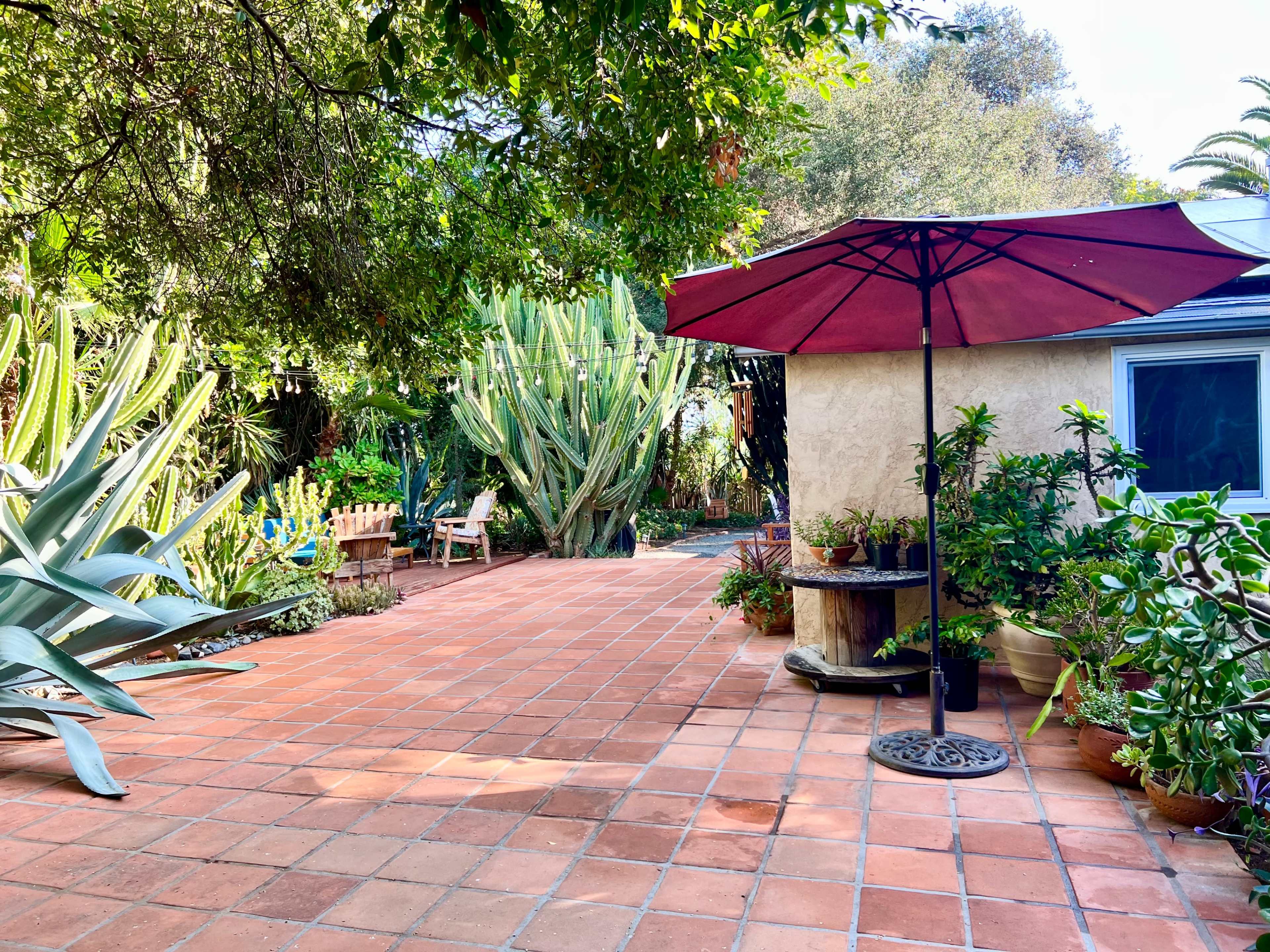 The image shows a patio area with terracotta tiles, featuring a large umbrella and various plants, including cacti and potted greenery, surrounded by mature trees.