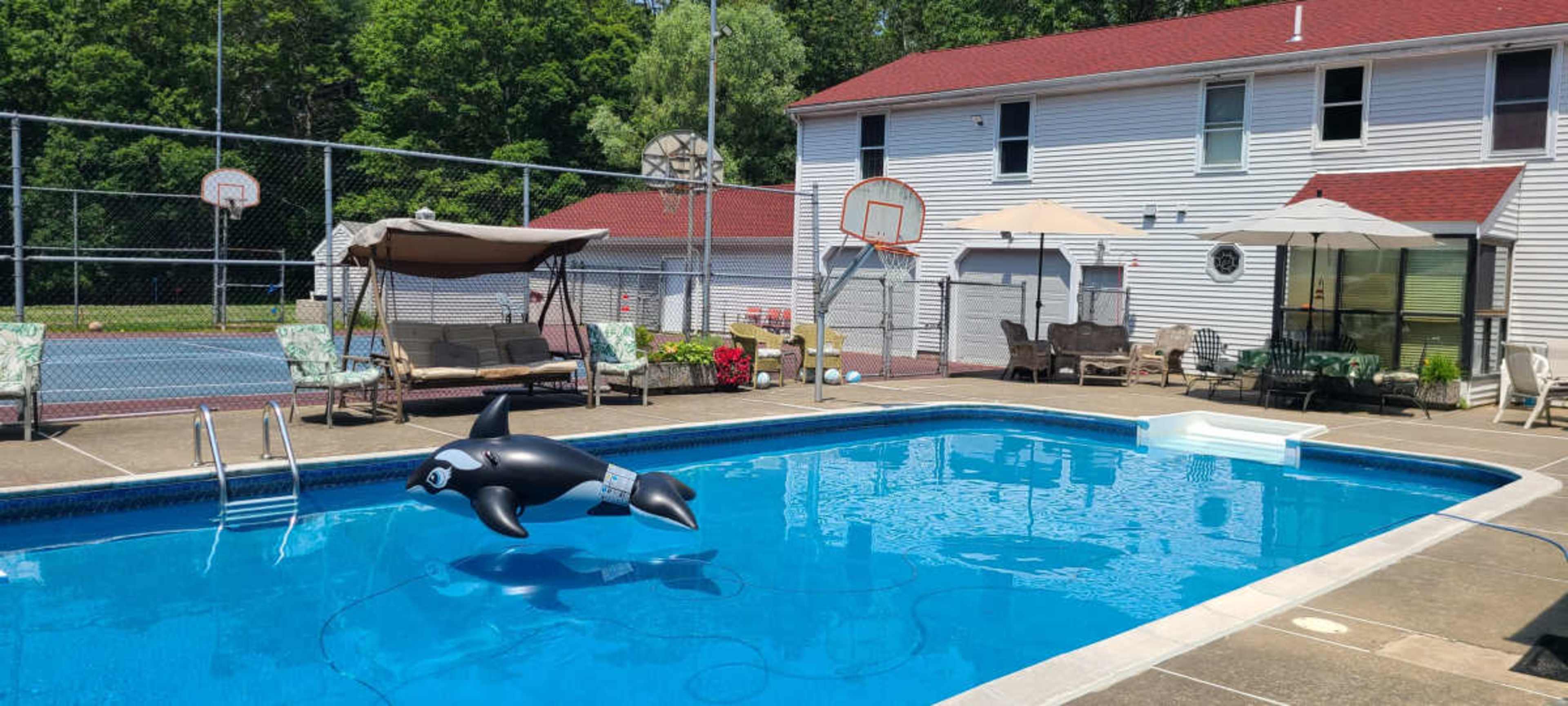 A large pool with a blue surface features a black and white inflatable orca, surrounded by seating areas and a tennis court in the background.