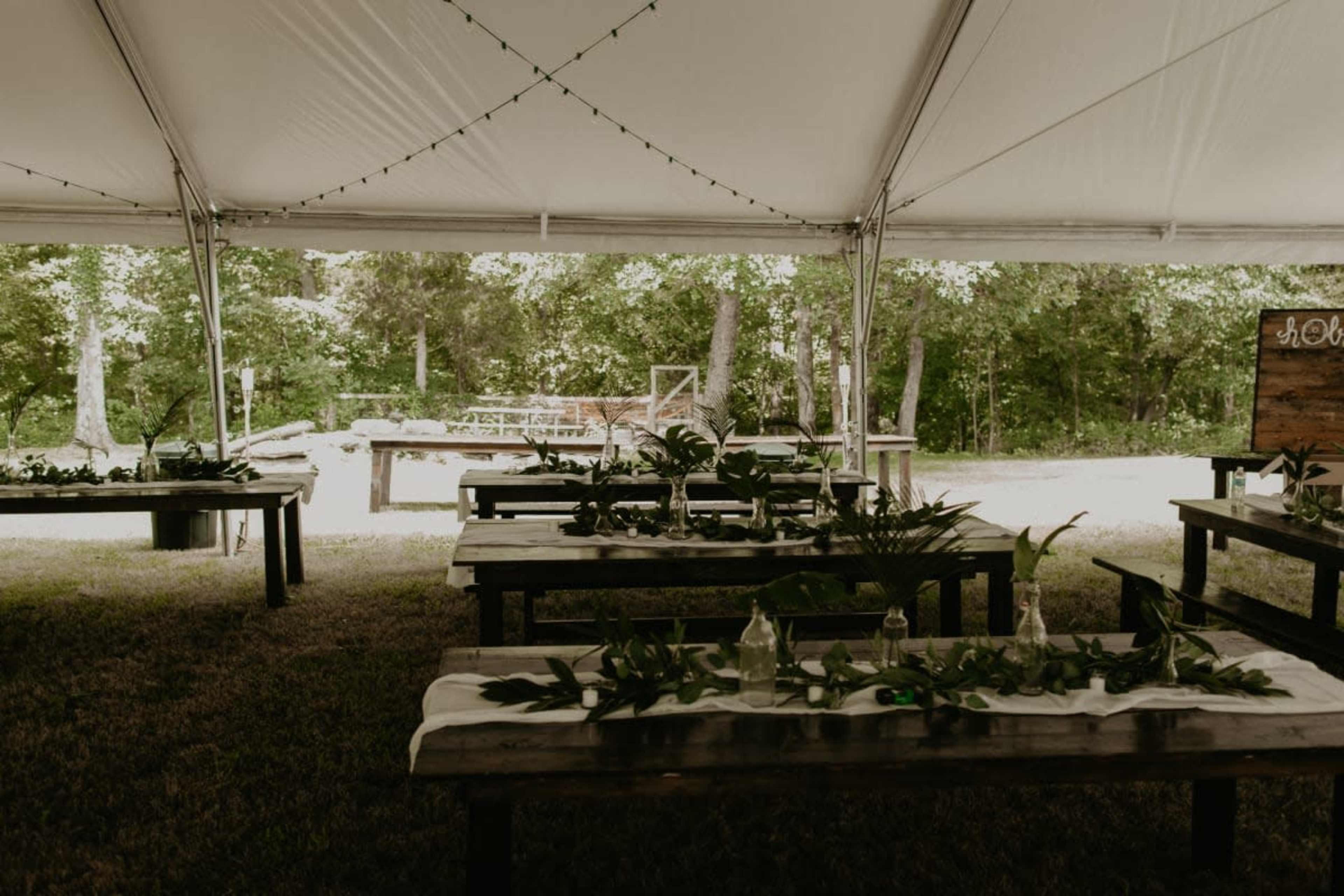 68 Private Acres of Woodlands, Meadows, Creeks and Cliffs Image in , Lebanon, TN