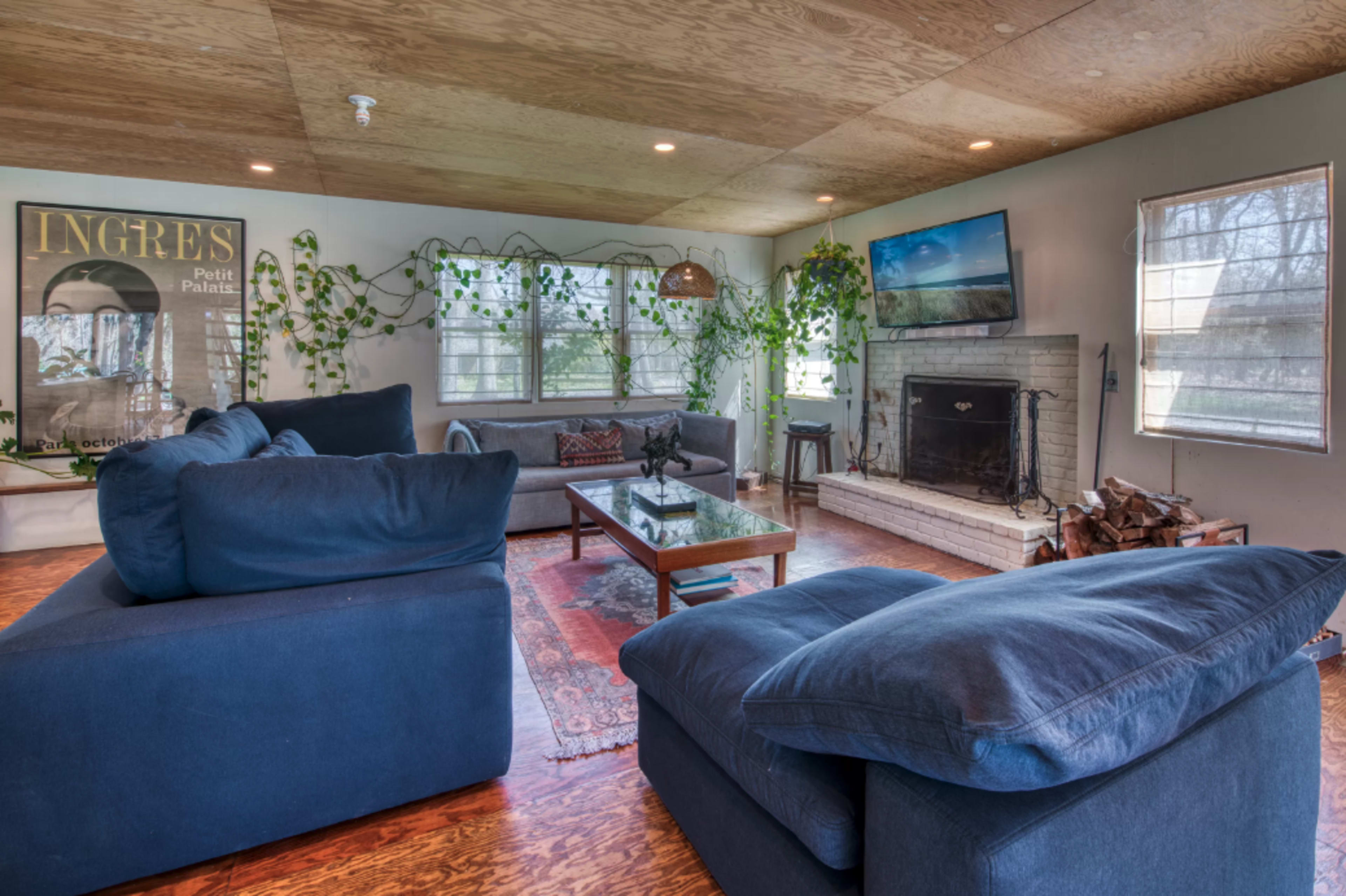 A cozy living room with a fireplace, large windows, and green plants, featuring dark blue sofas and a television mounted on the wall.