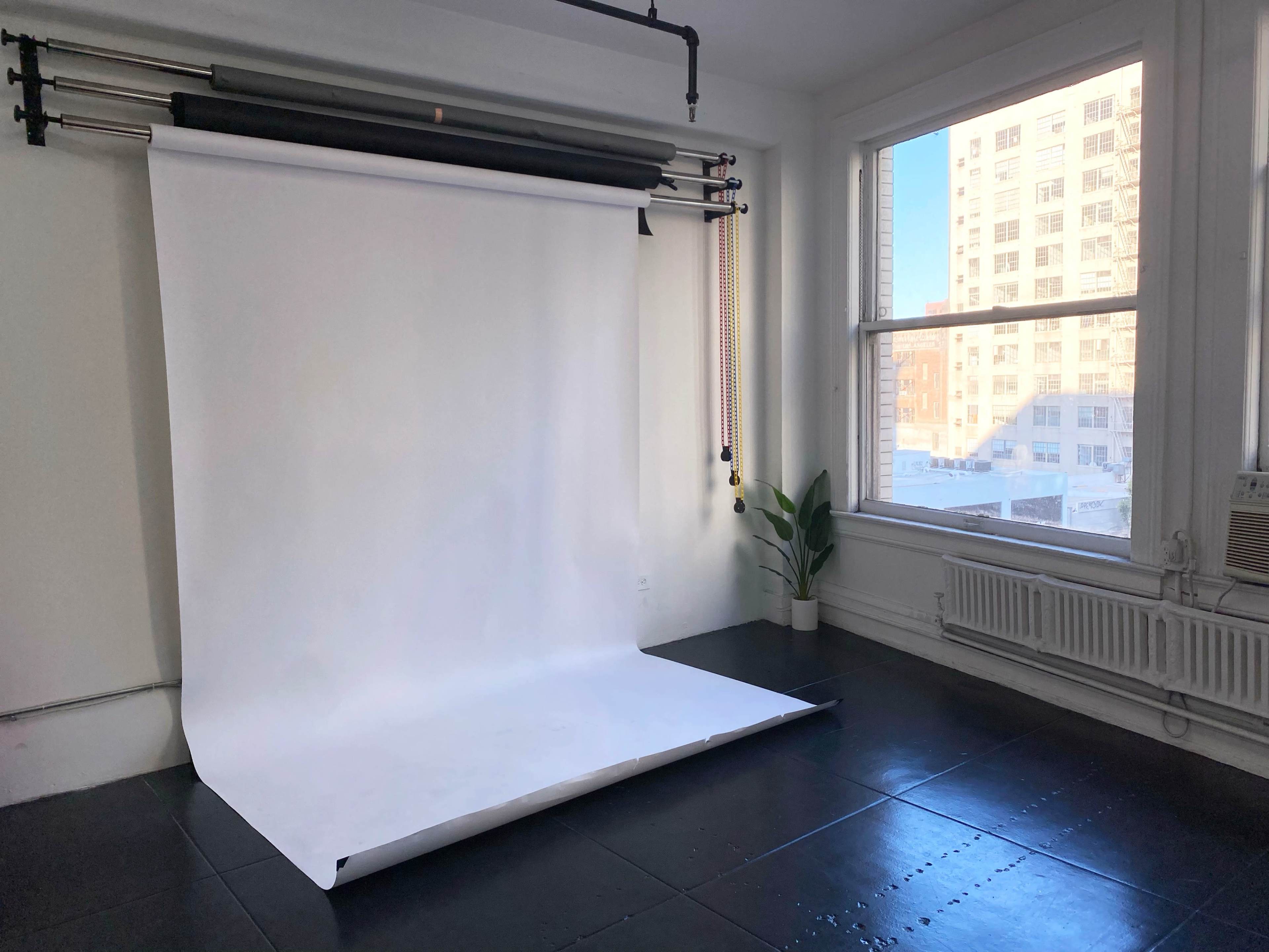 A minimalist photography studio featuring a white backdrop, large windows, and a single potted plant in the corner.