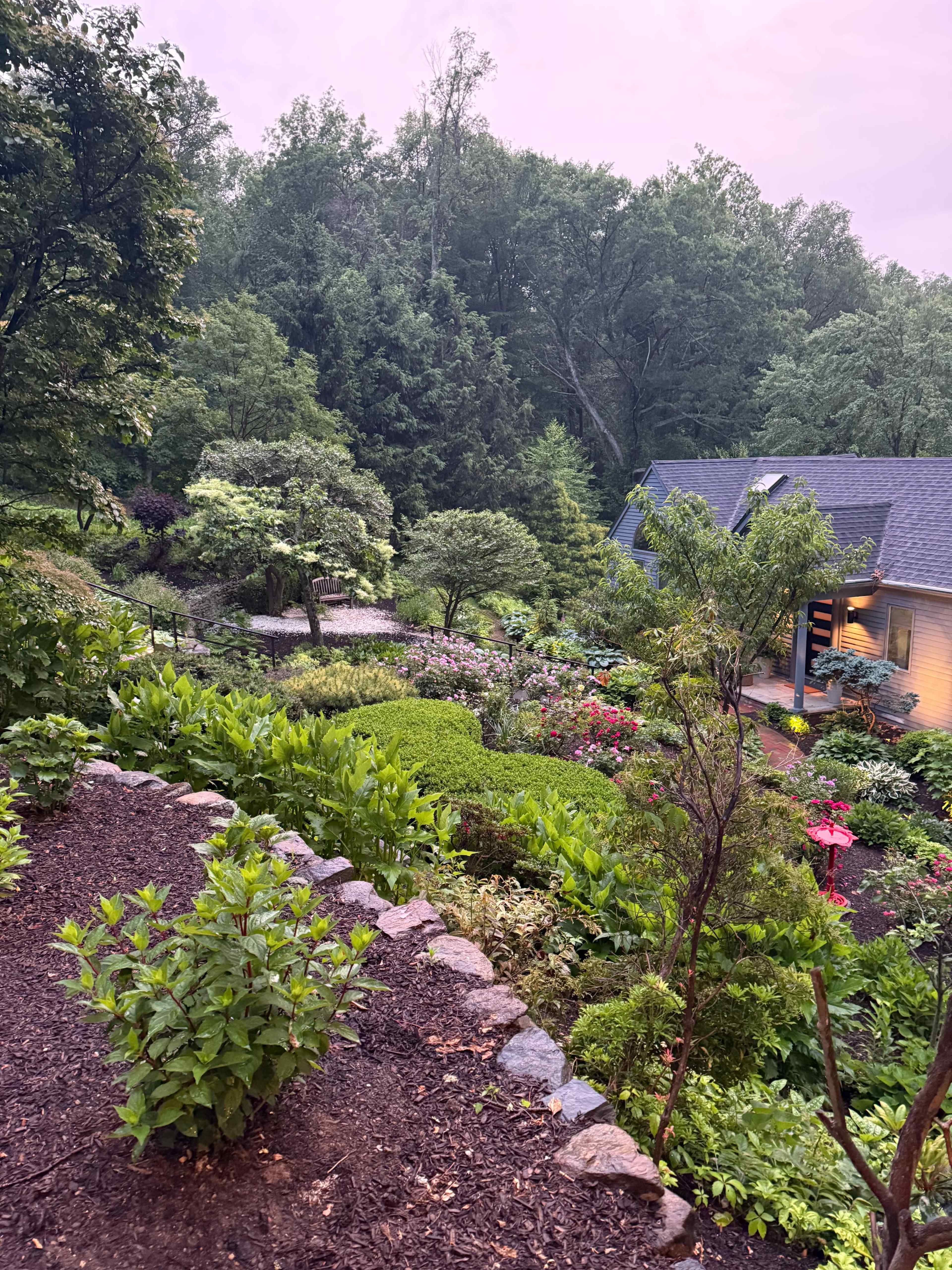 The image shows a landscaped garden with various plants and flowers surrounding a house, set against a backdrop of trees.
