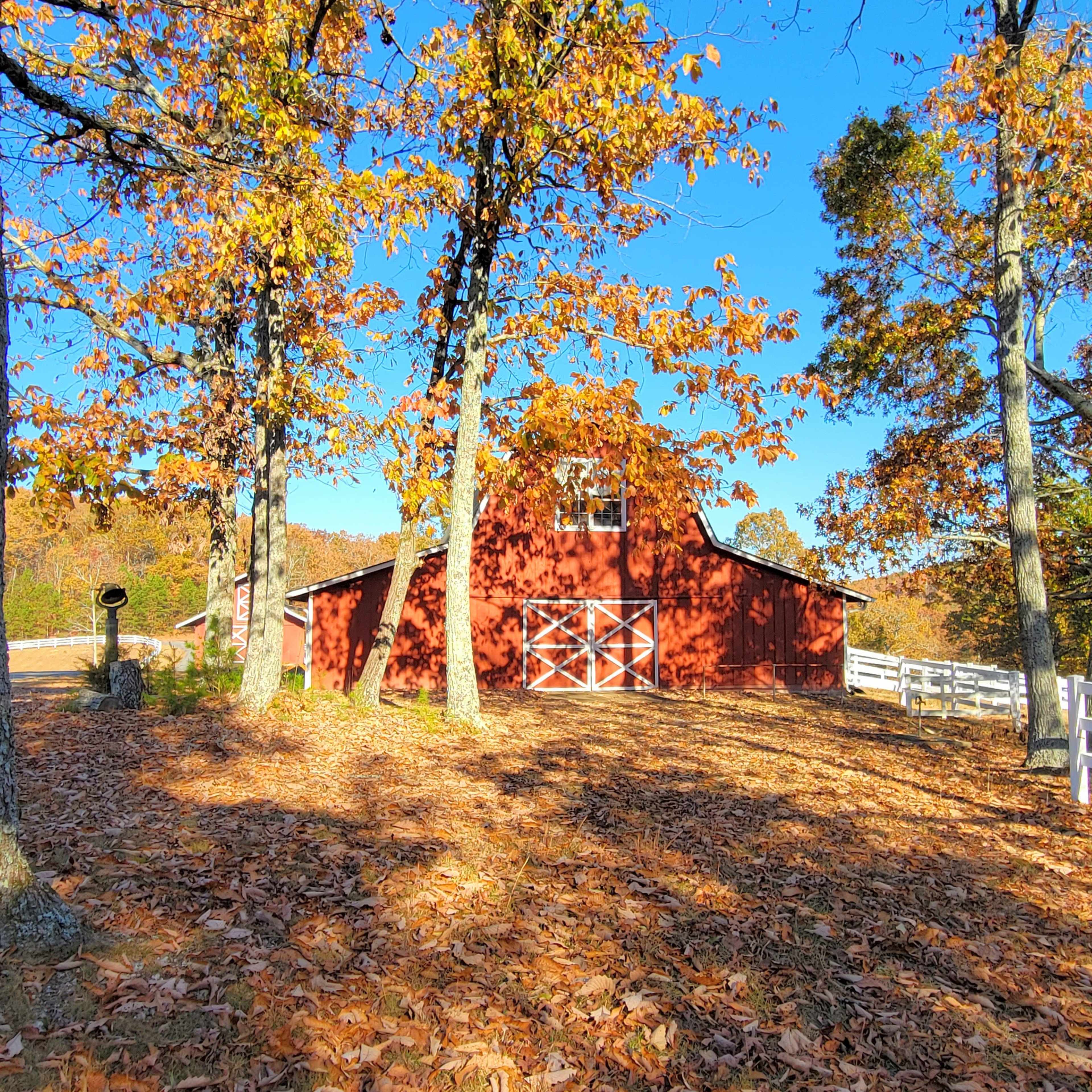 A red barn stands among trees with autumn leaves, surrounded by fallen foliage under a clear blue sky.