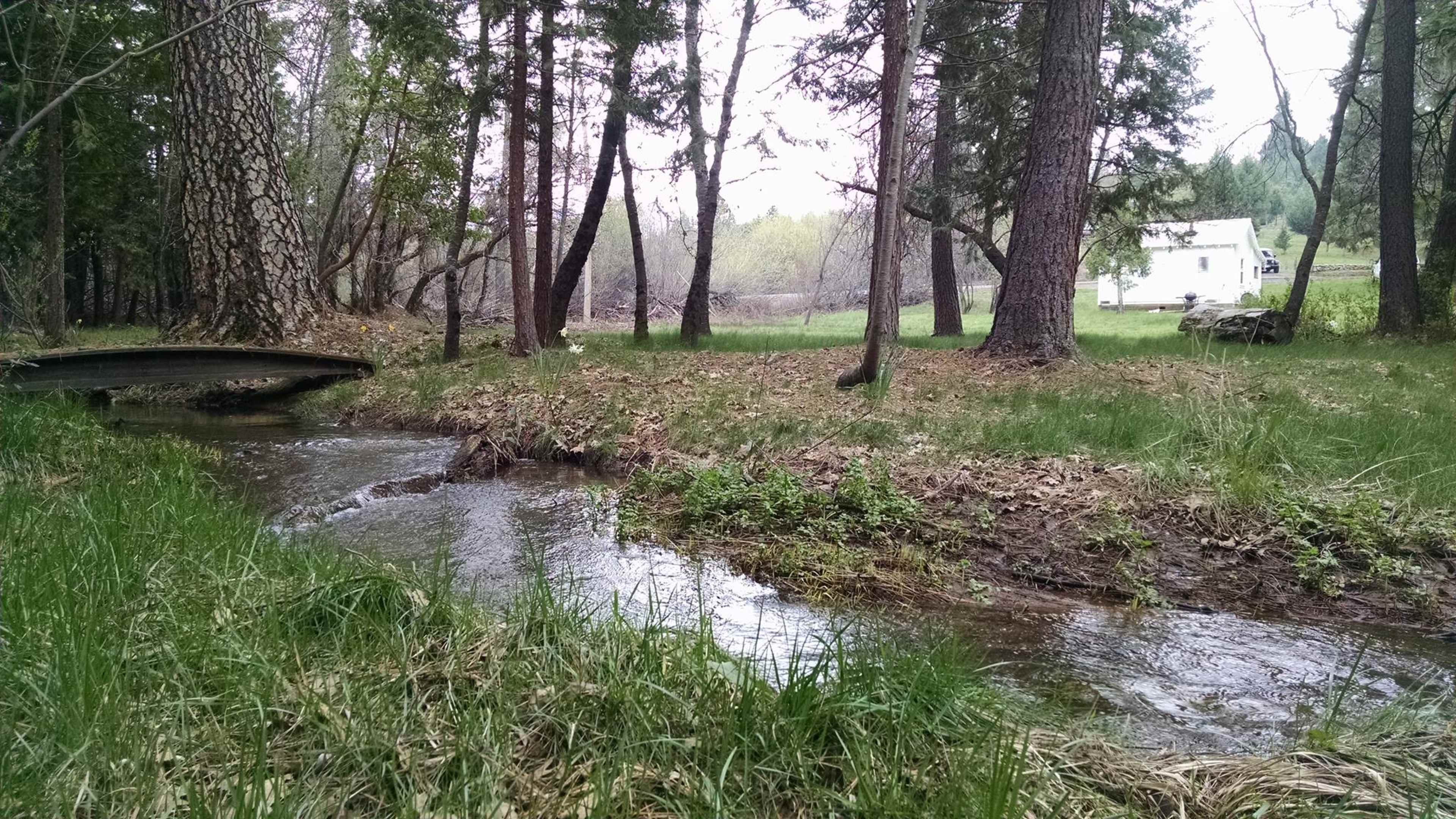 A small stream flows through a grassy area surrounded by trees, with a white house visible in the background.