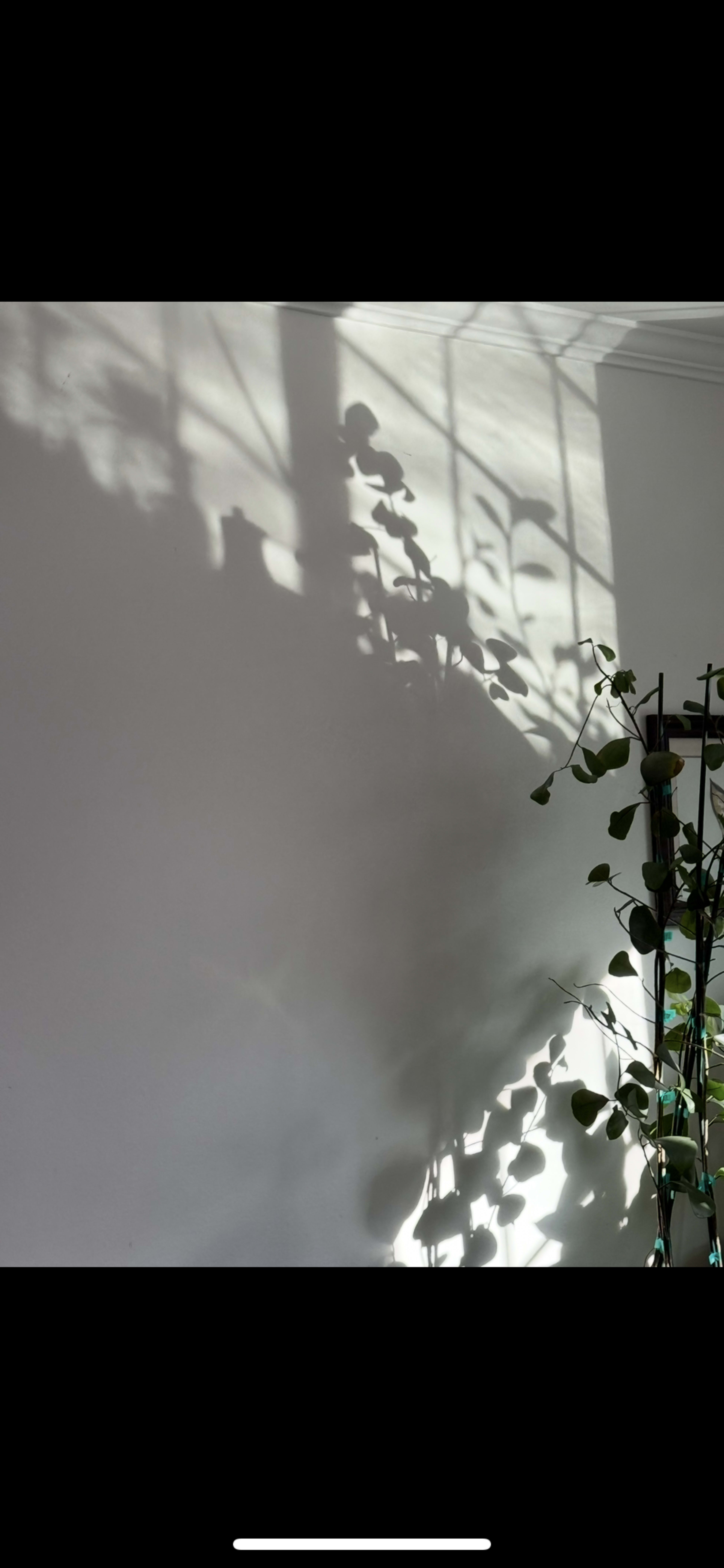 An LA/ Valley Home with a Pool Image in Valley Glen, Los Angeles, CA