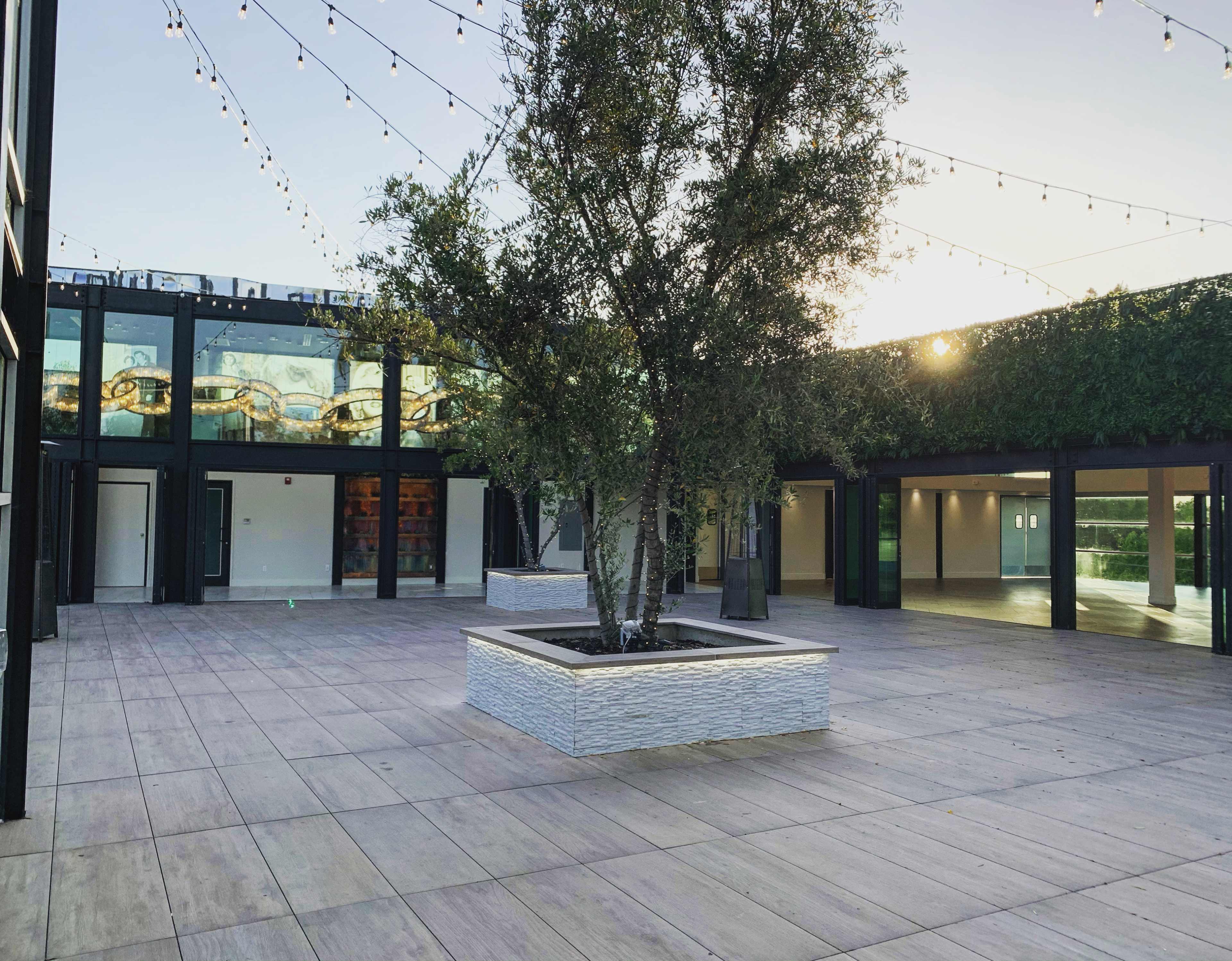 A spacious outdoor courtyard featuring a central tree surrounded by a stone planter, with buildings on either side and string lights overhead.