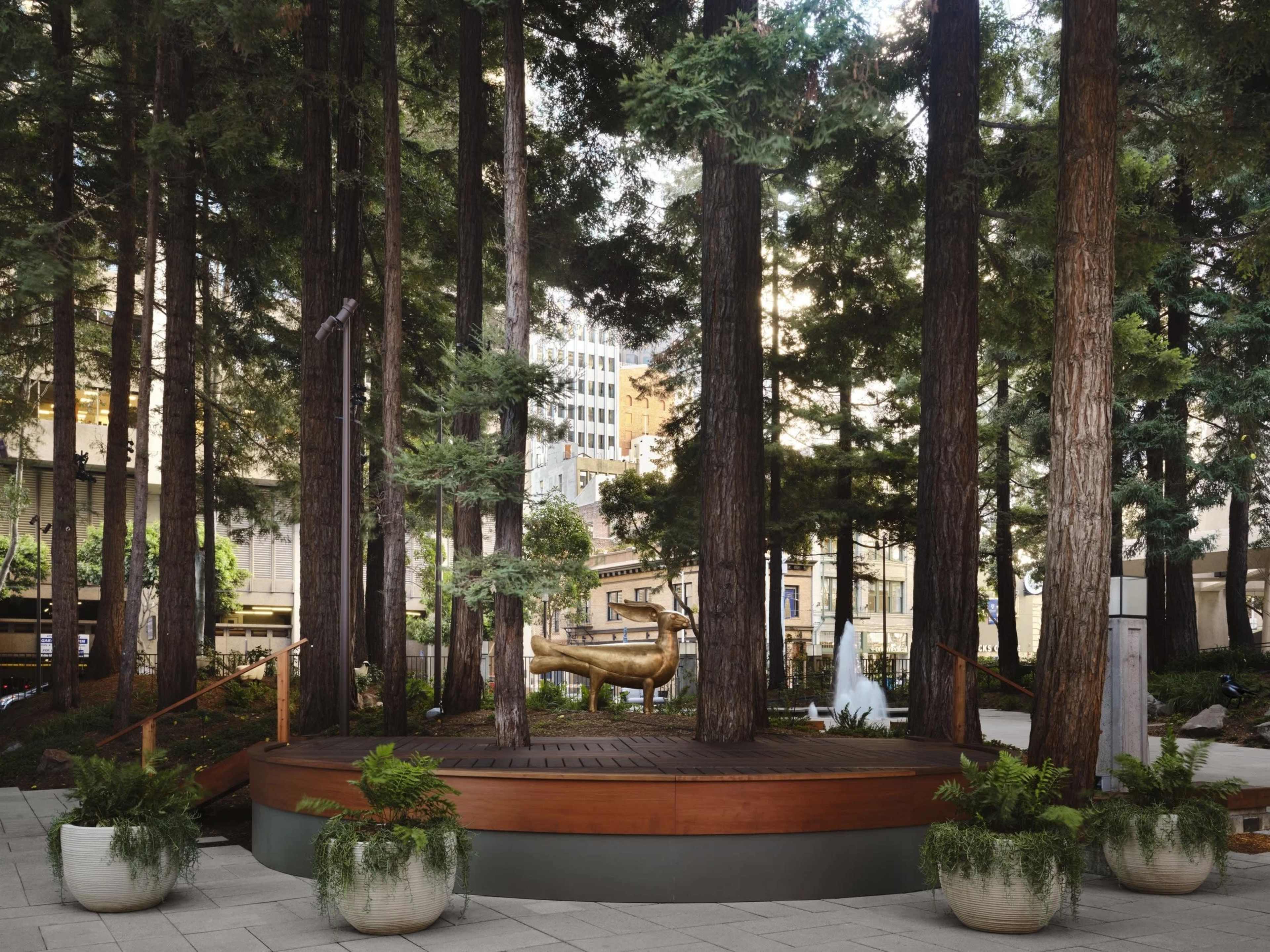 The image shows a wooden platform surrounded by tall trees in an urban setting, with potted plants placed around the edge.