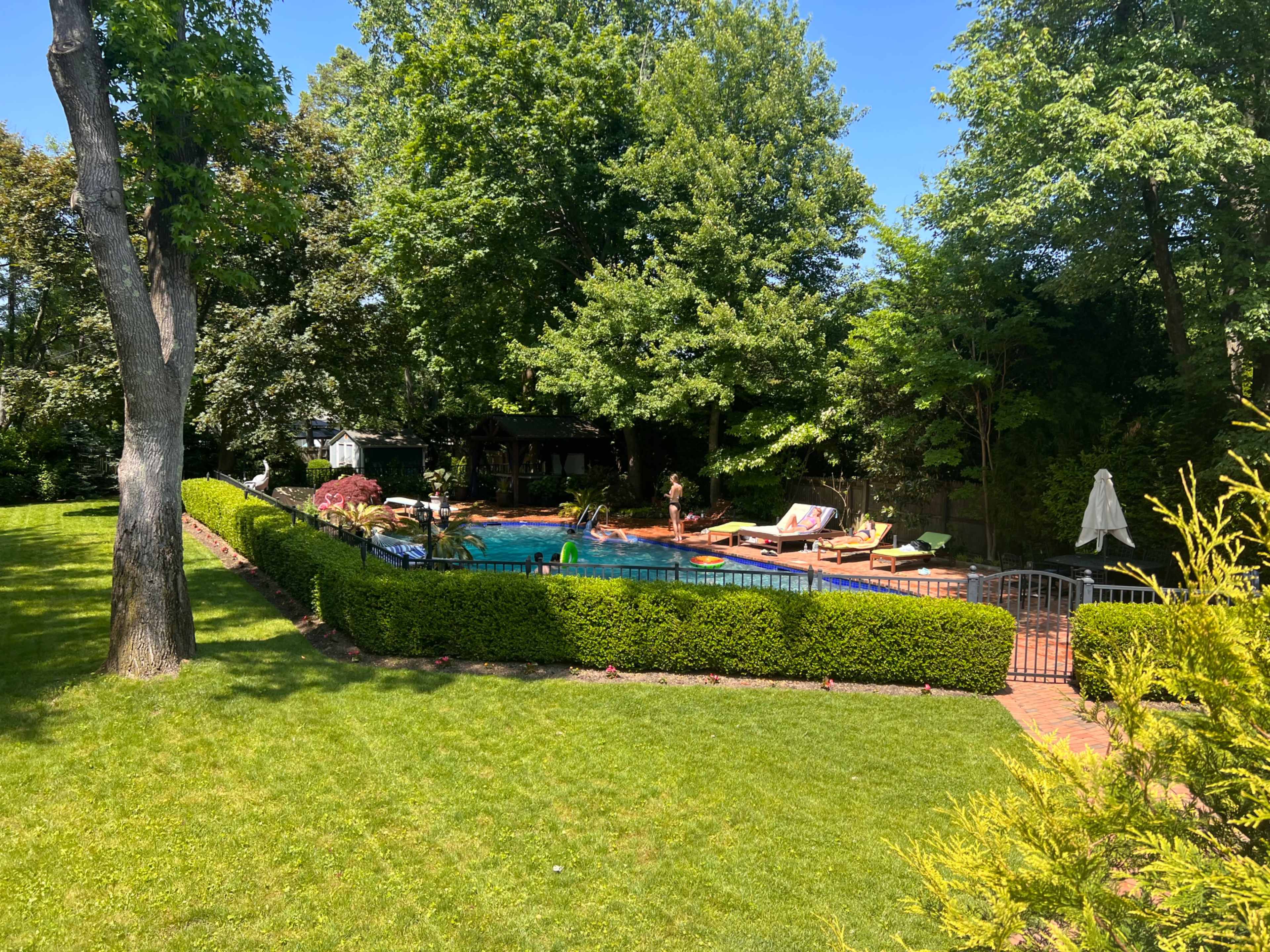 The image shows a well-maintained backyard featuring a swimming pool surrounded by lush greenery and lounge chairs.