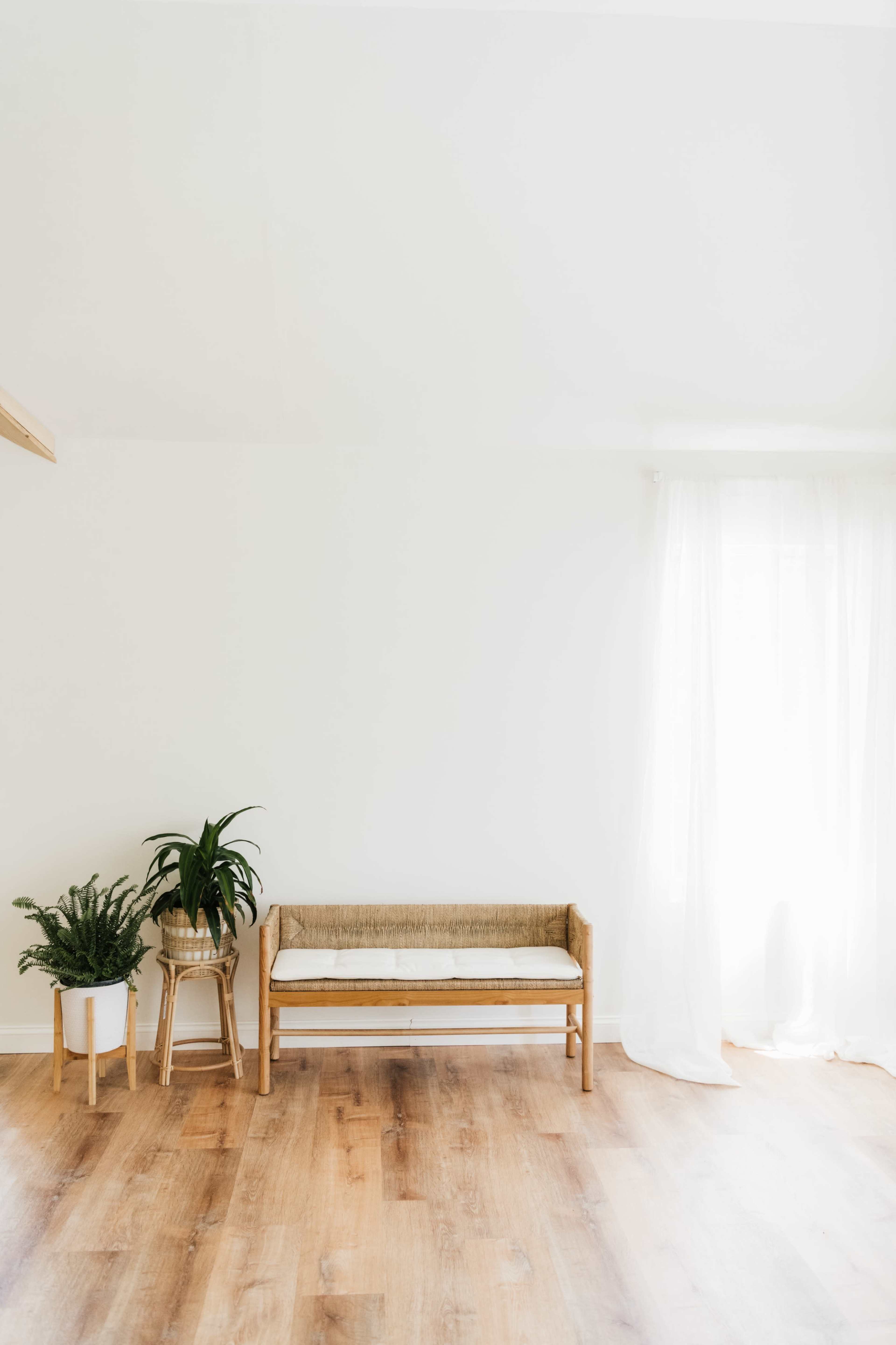 A minimalist room features a woven bench with a white cushion, a potted plant on a stand, and natural light filtering through sheer curtains.