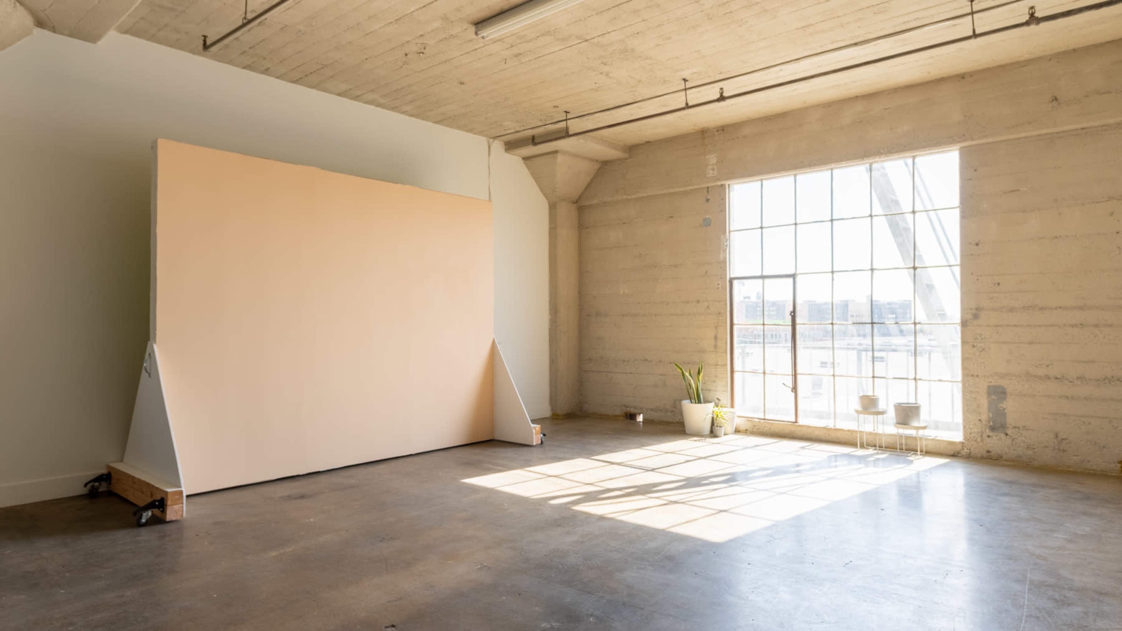 A spacious room with a large, plain backdrop on wheels and a window letting in natural light, illuminating a small plant and two chairs in the corner.