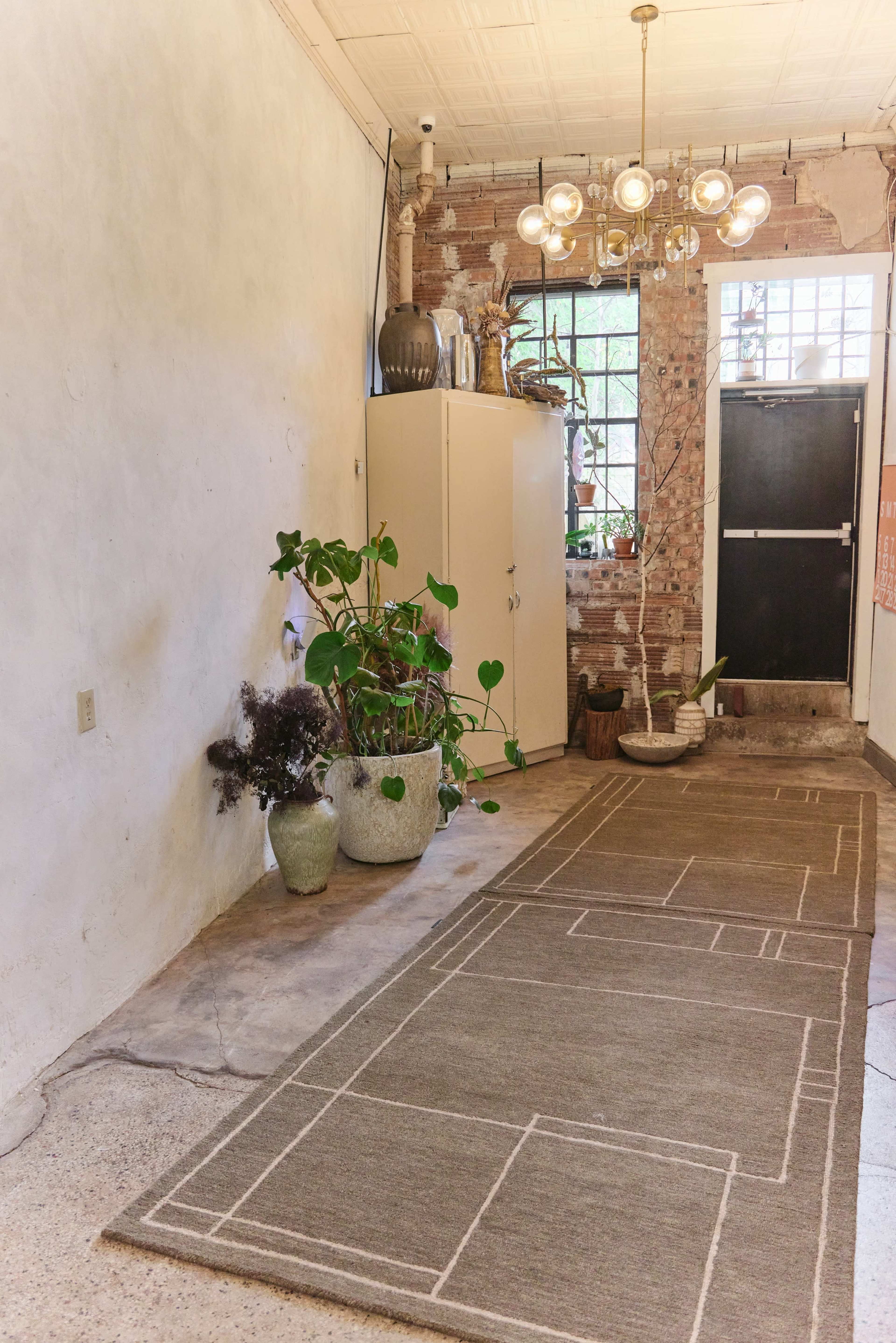 The image depicts a narrow hallway with a textured wall, a patterned rug on the floor, a couple of potted plants, and a door leading to another room.