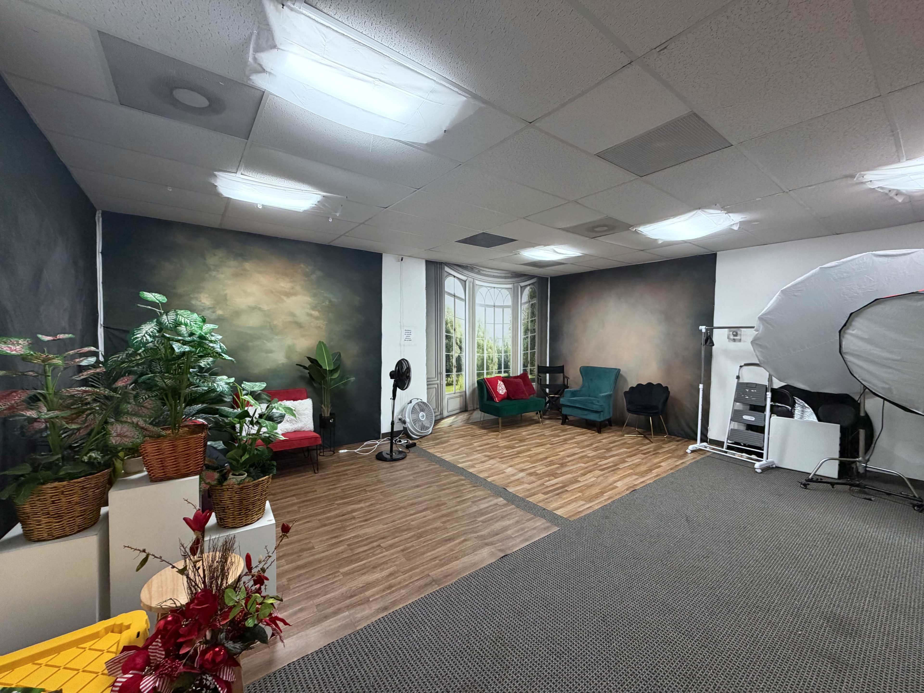 The image shows a studio space with a wooden floor, green and red seating areas, potted plants, and a backdrop of painted murals on the walls.