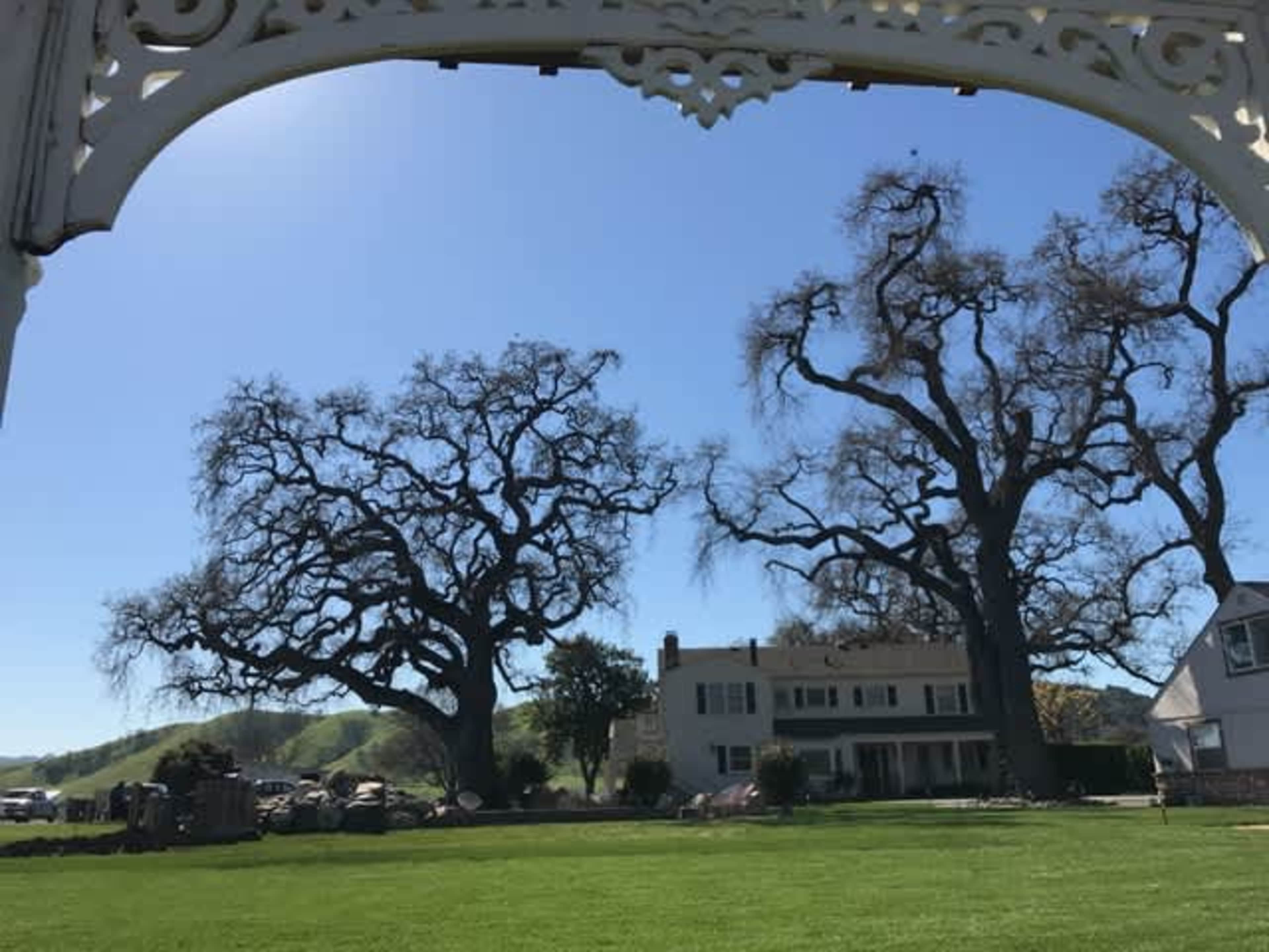 6 Bedroom San Martin Historic Estate with Spacious Backyard and Heated Pool! Image in San Martin, San Martin, CA