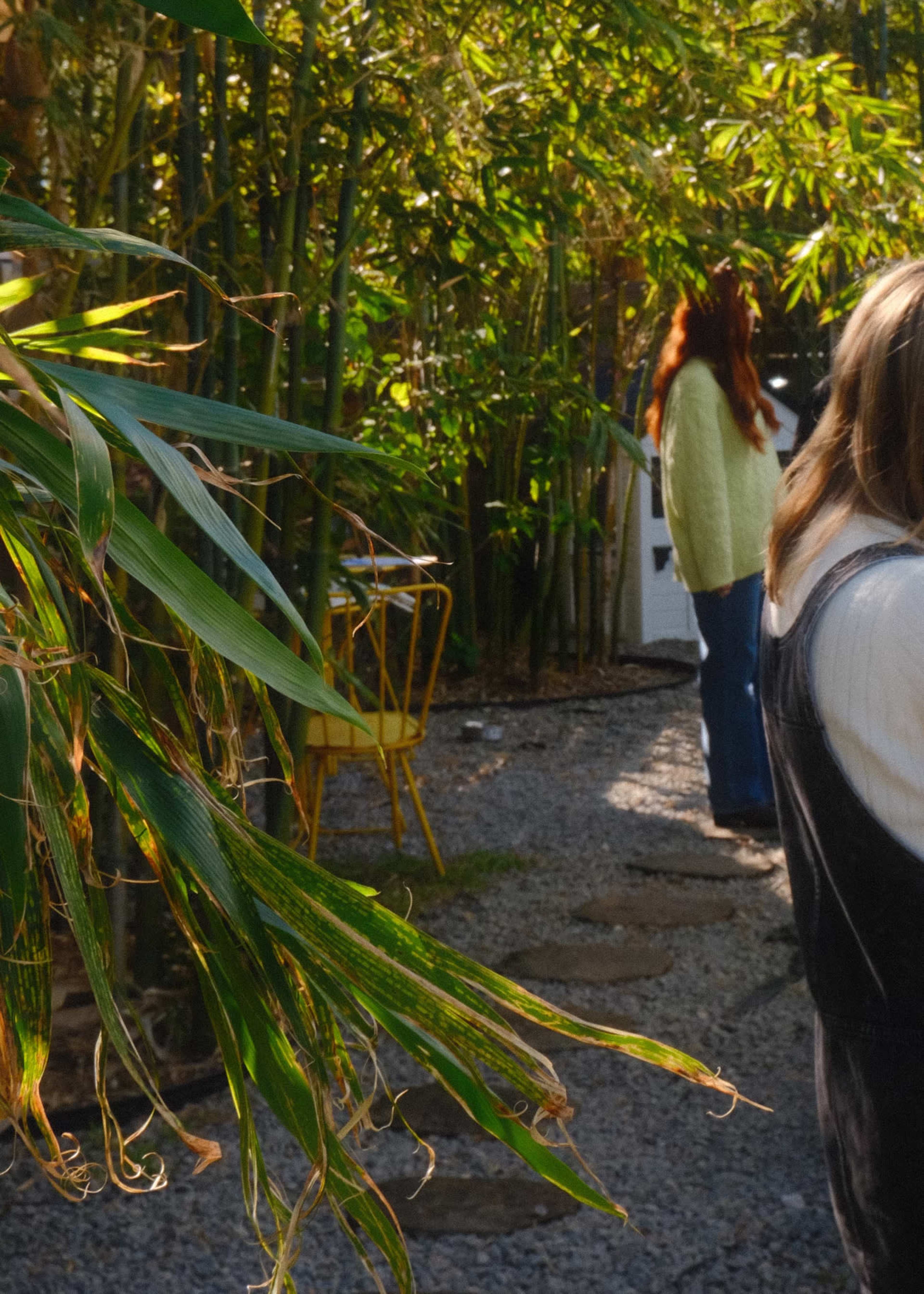 Two individuals stand among dense bamboo in a garden, with a stone pathway leading through greenery.