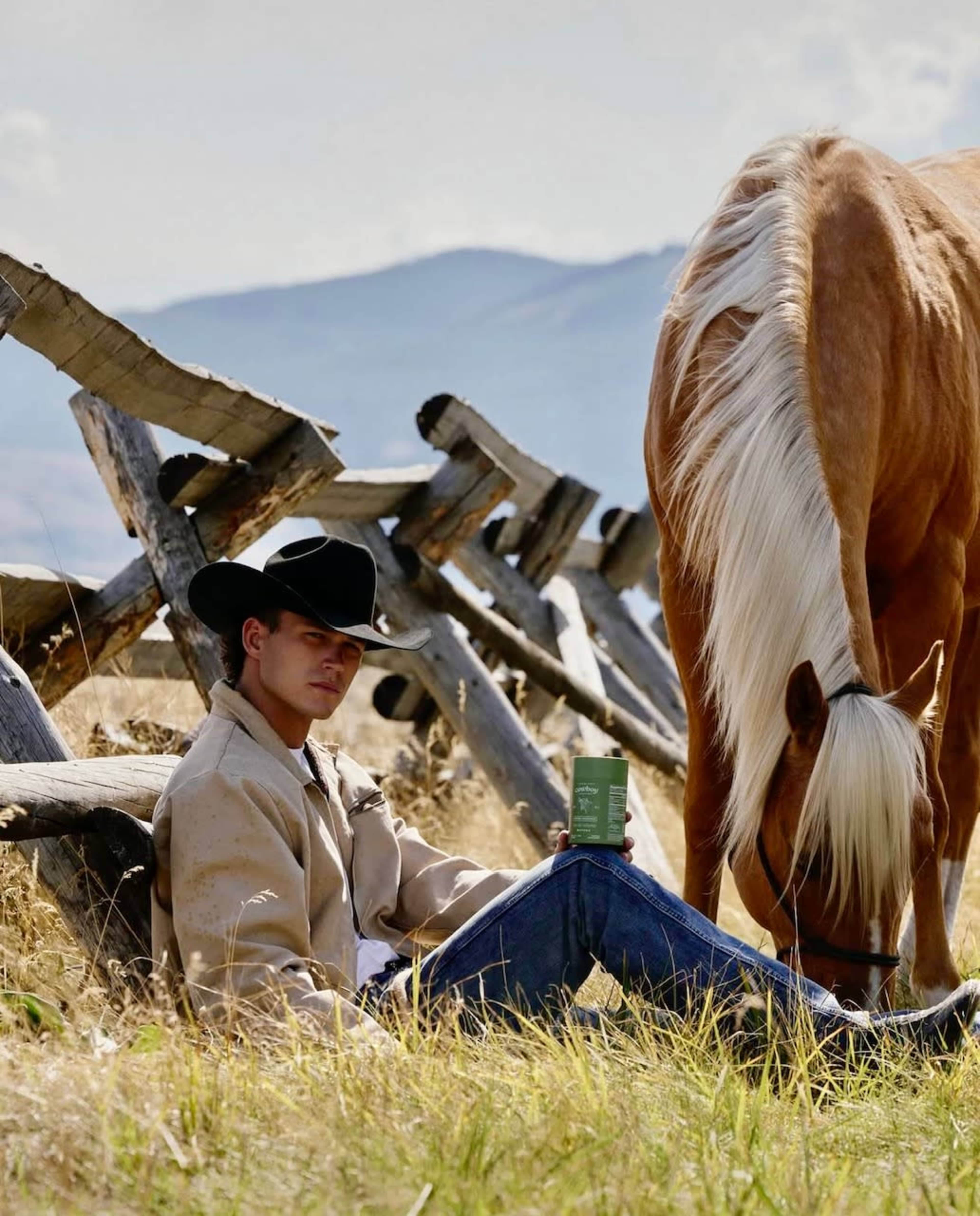 10 acre horse ranch with 360 mountain views in Bozeman Image in , Gallatin gateway, MT