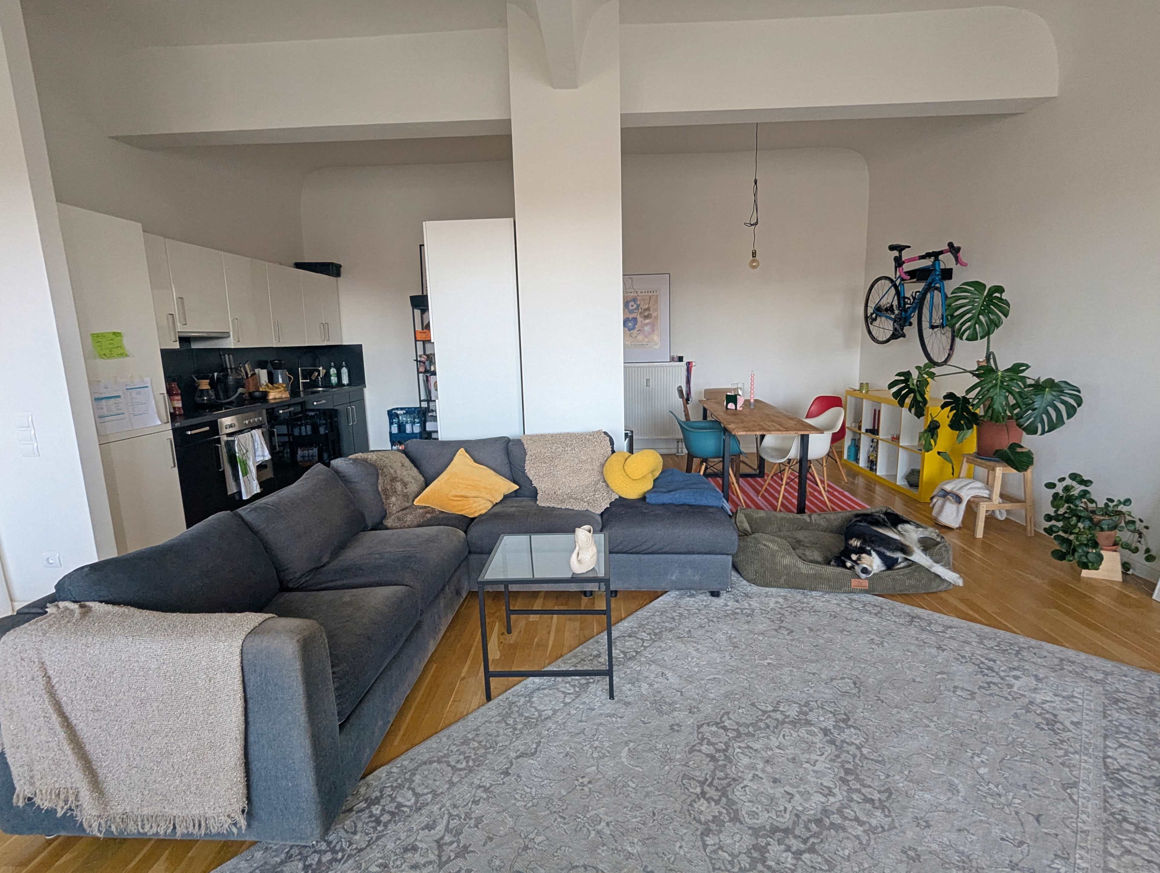 A modern living room features a sectional sofa, coffee table, and dining area with colorful chairs, while a bicycle hangs on the wall and plants are placed around the space.