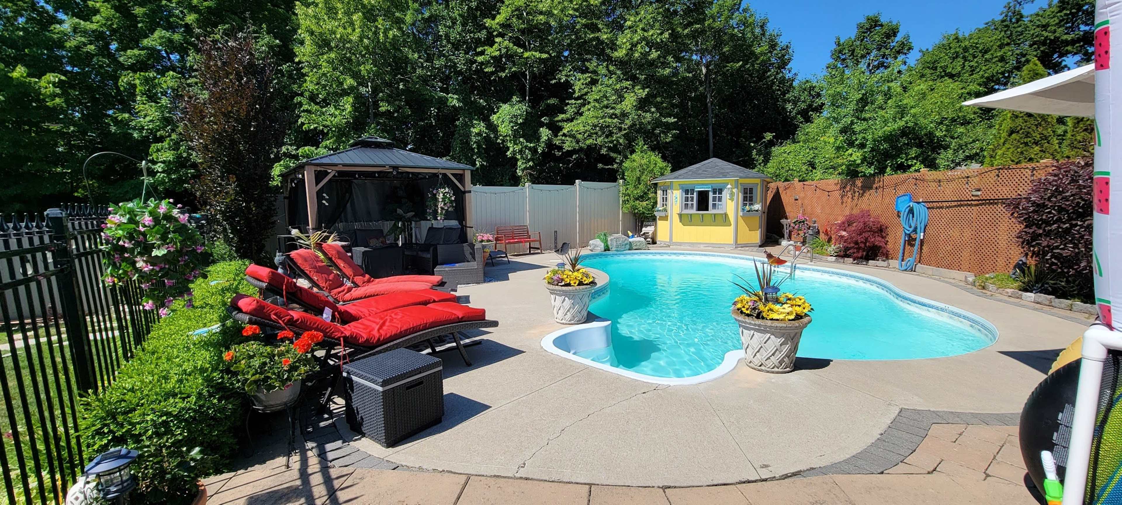 A well-maintained backyard pool area with red lounge chairs, potted plants, and a gazebo, surrounded by lush greenery and a small yellow shed.