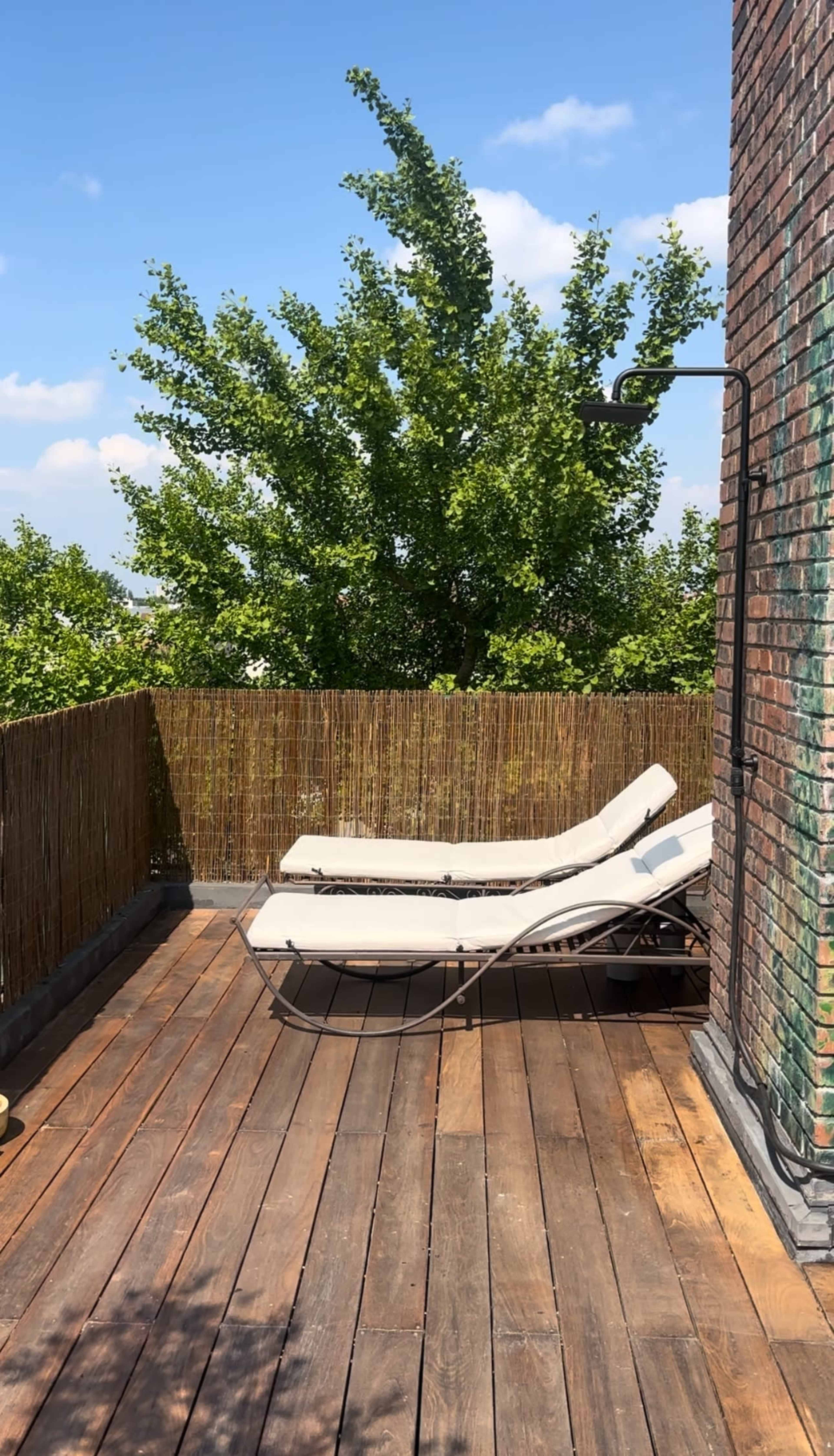 Loft design avec terrasse Image in Les Mûriers, Saint-Maur-des-Fossés, 