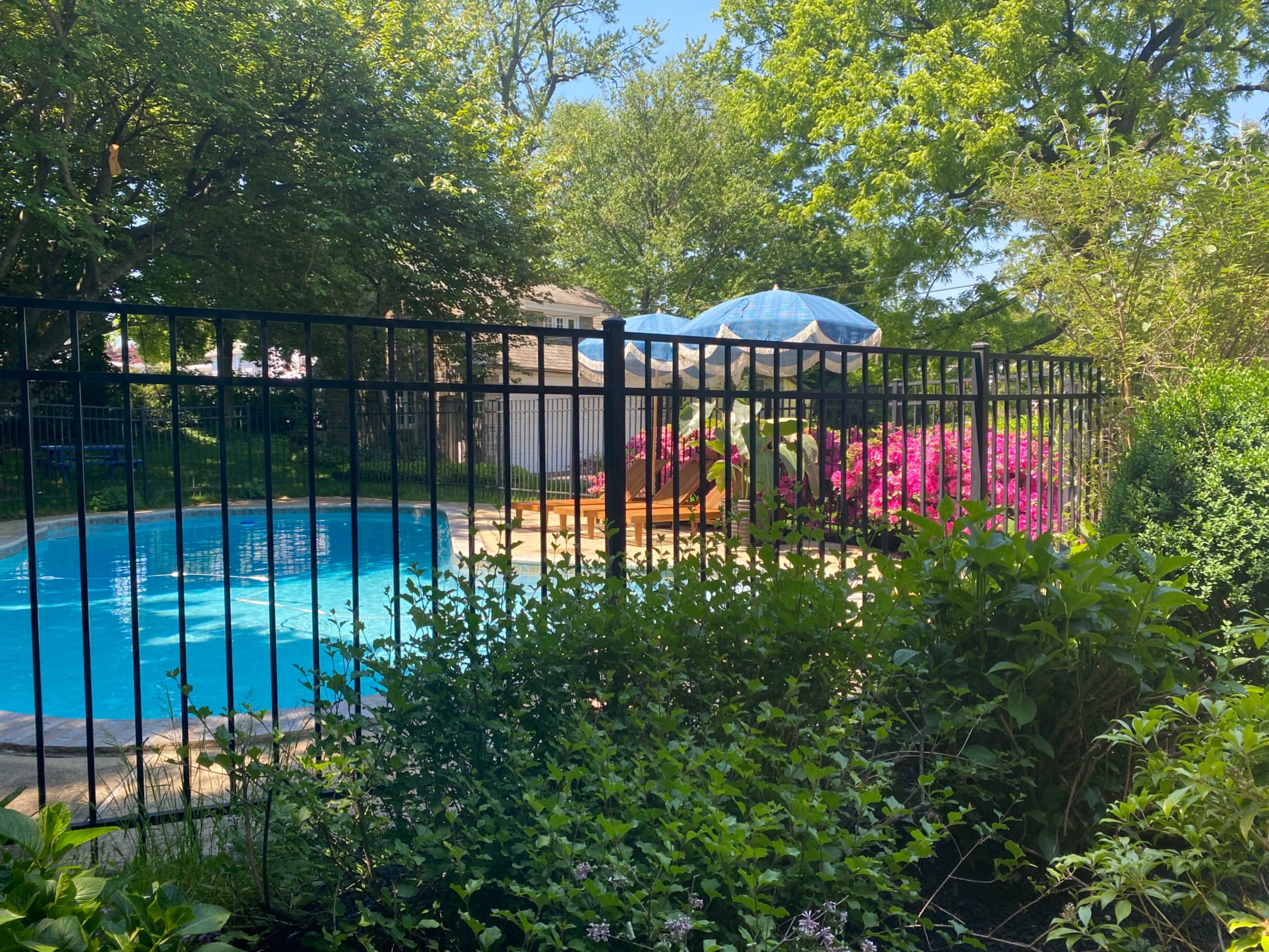 A fenced backyard features a swimming pool surrounded by lush greenery and colorful flowers, with lounge chairs and an umbrella in the background.