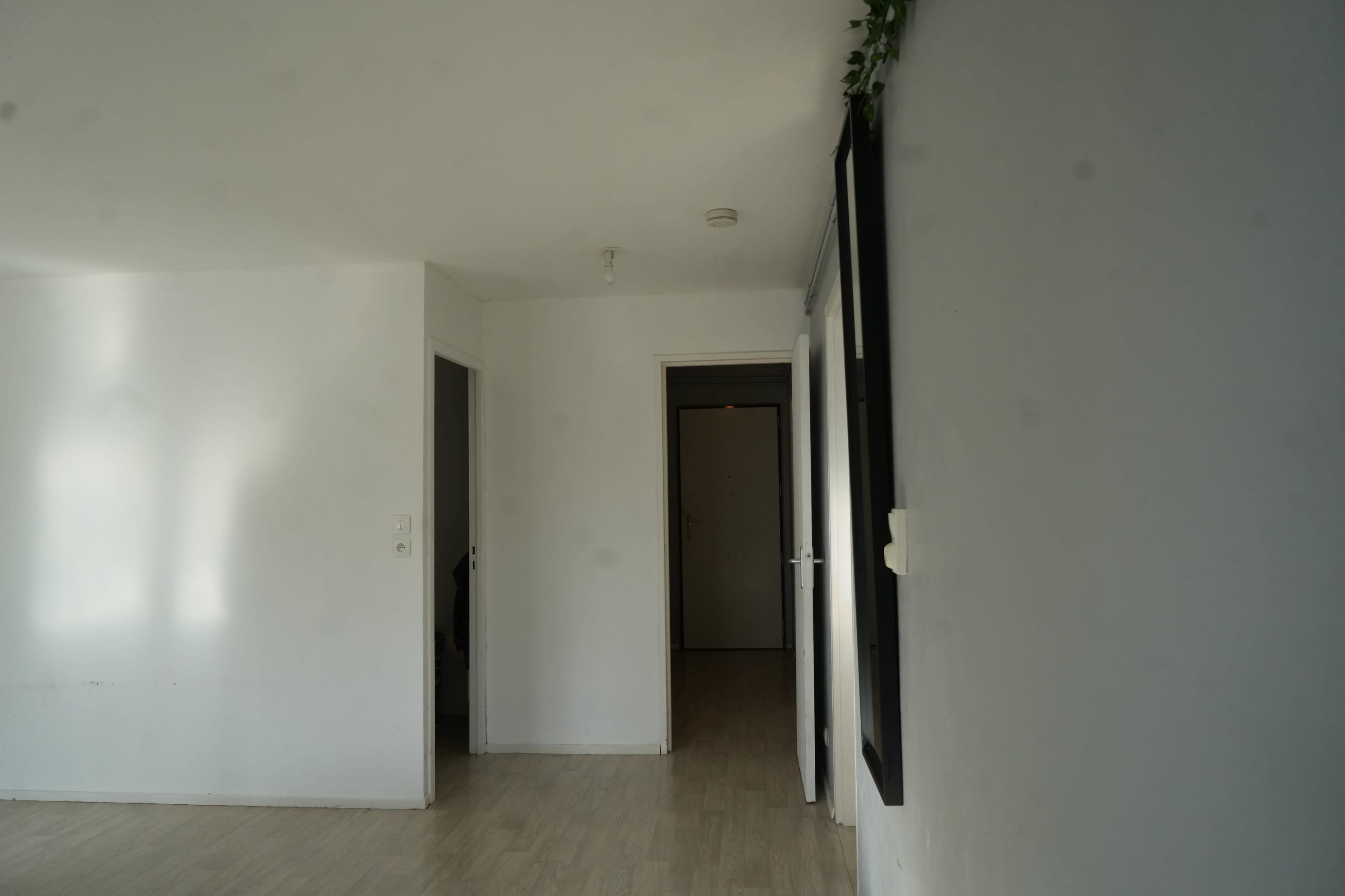 Appartement spacieux et lumineux Image in Triolo, Lille