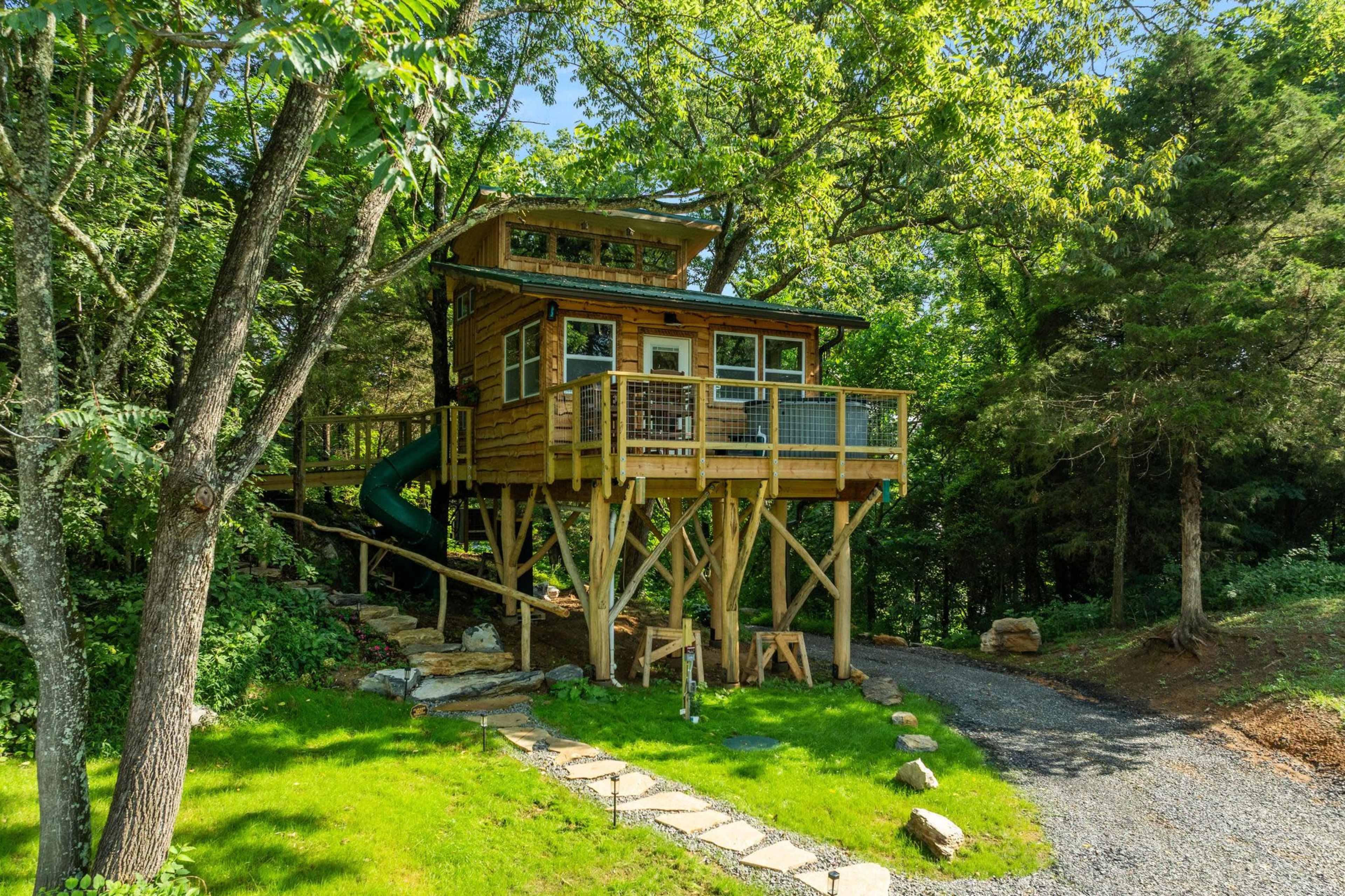 A treehouse built on stilts is surrounded by trees and features a slide, with a pathway leading to a gravel driveway.