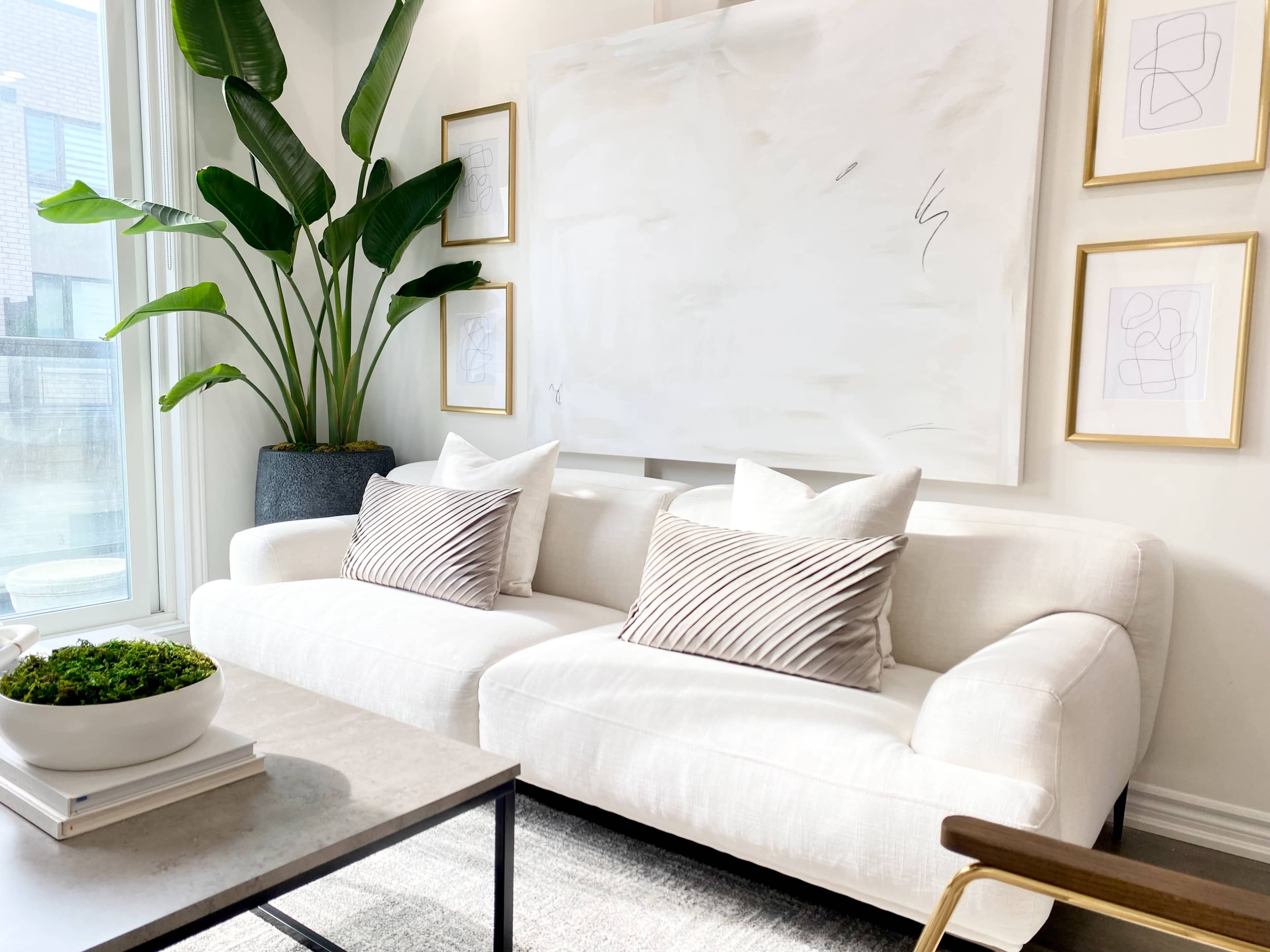 A modern living room with a white sofa, decorative pillows, a coffee table, and a large abstract painting on the wall, accompanied by framed line drawings and a potted plant in the corner.