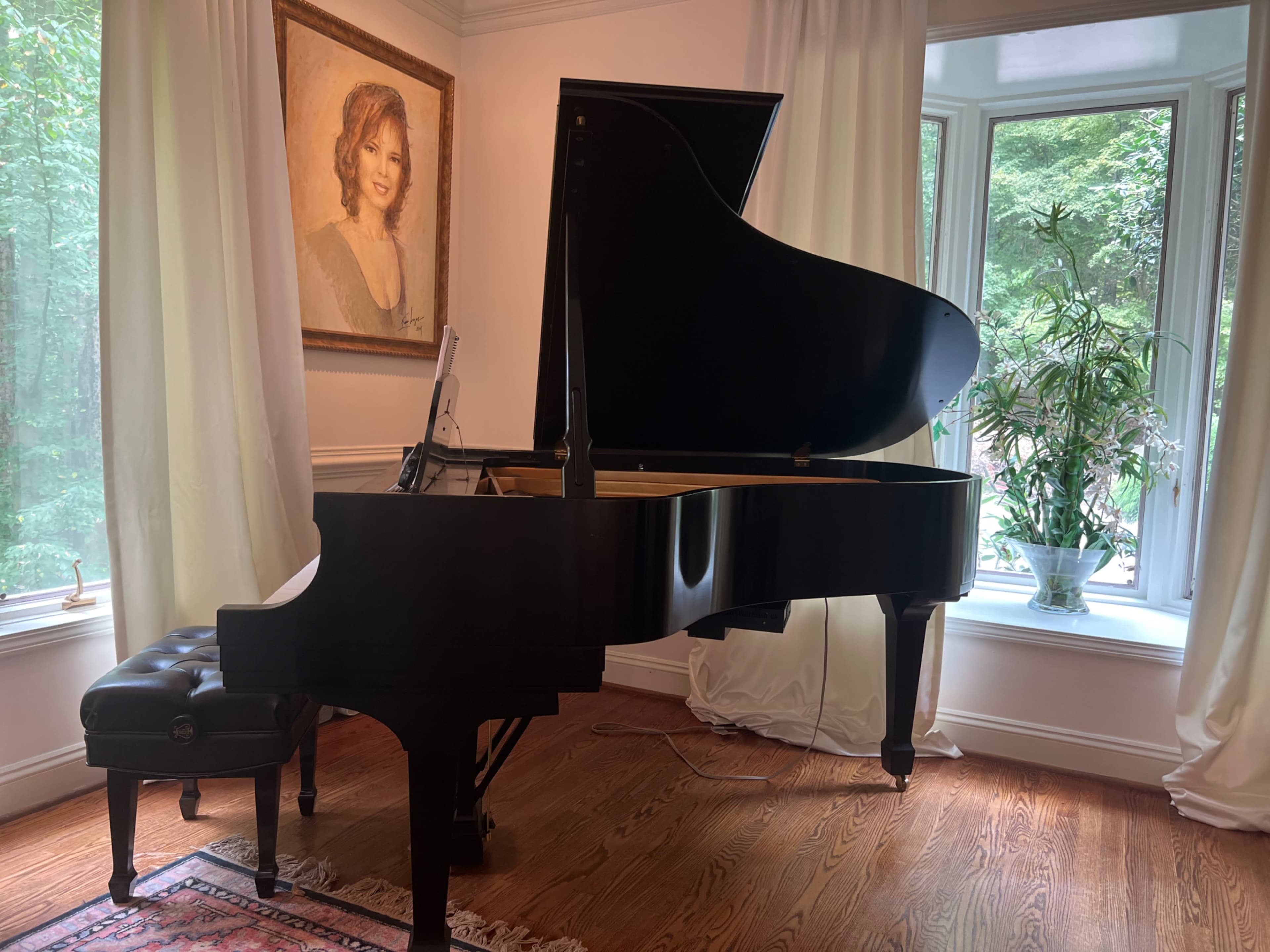 A grand piano sits in a well-lit room next to a large window with a plant, and a portrait hangs on the wall above it.