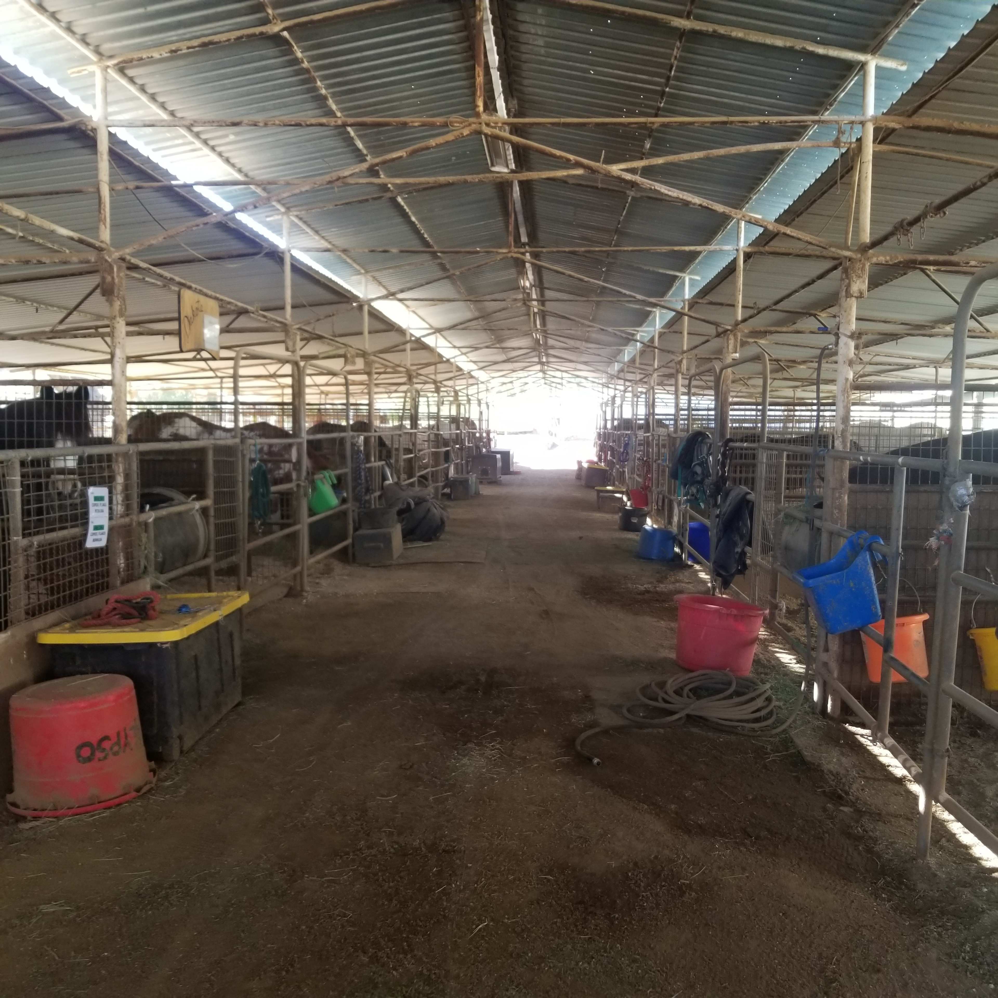 The image shows an interior view of a livestock barn with stalls on both sides and various tools and containers along the center aisle.