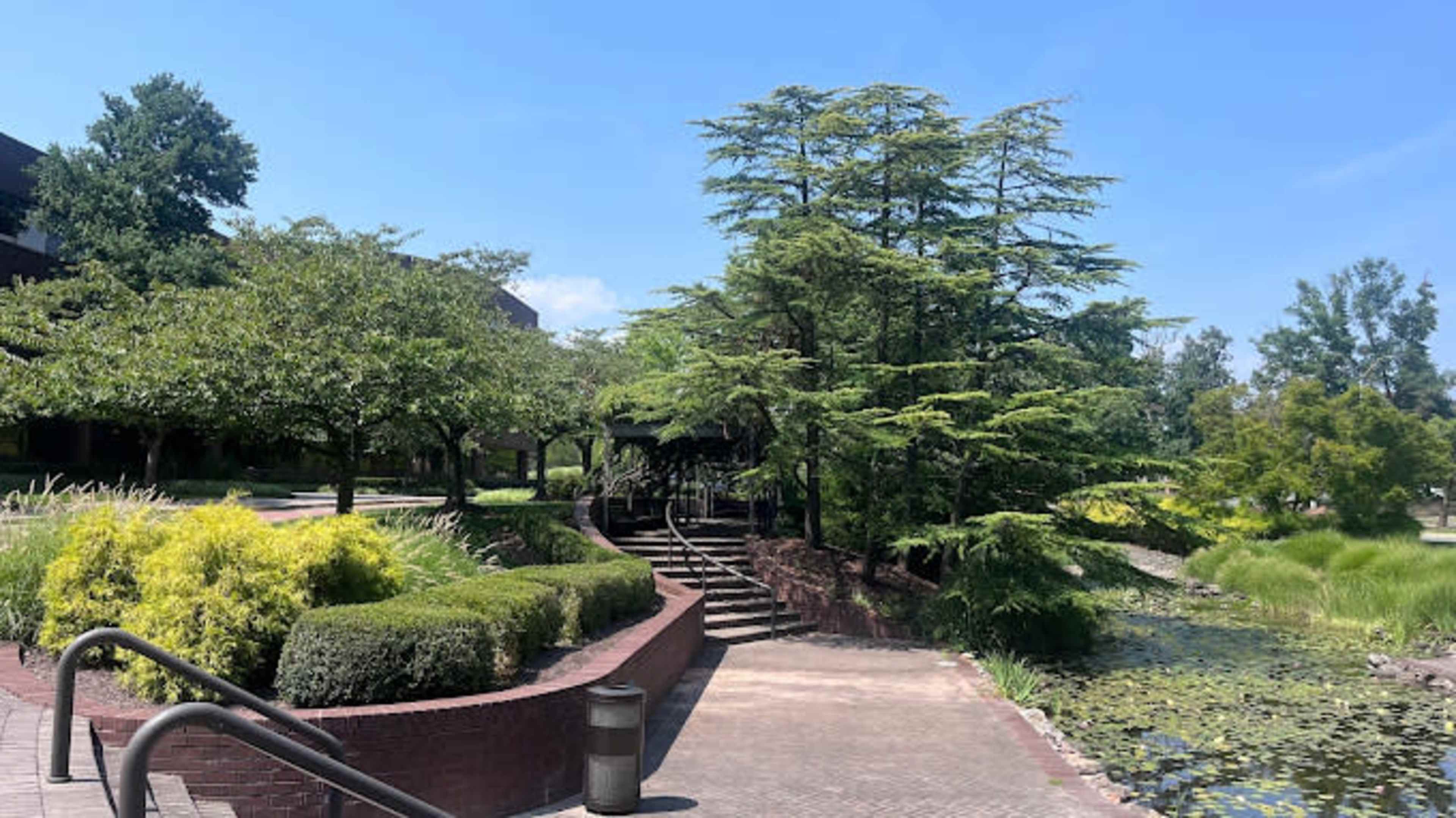 The image shows a landscaped pathway lined with green trees and shrubs, leading to a pond surrounded by vegetation.