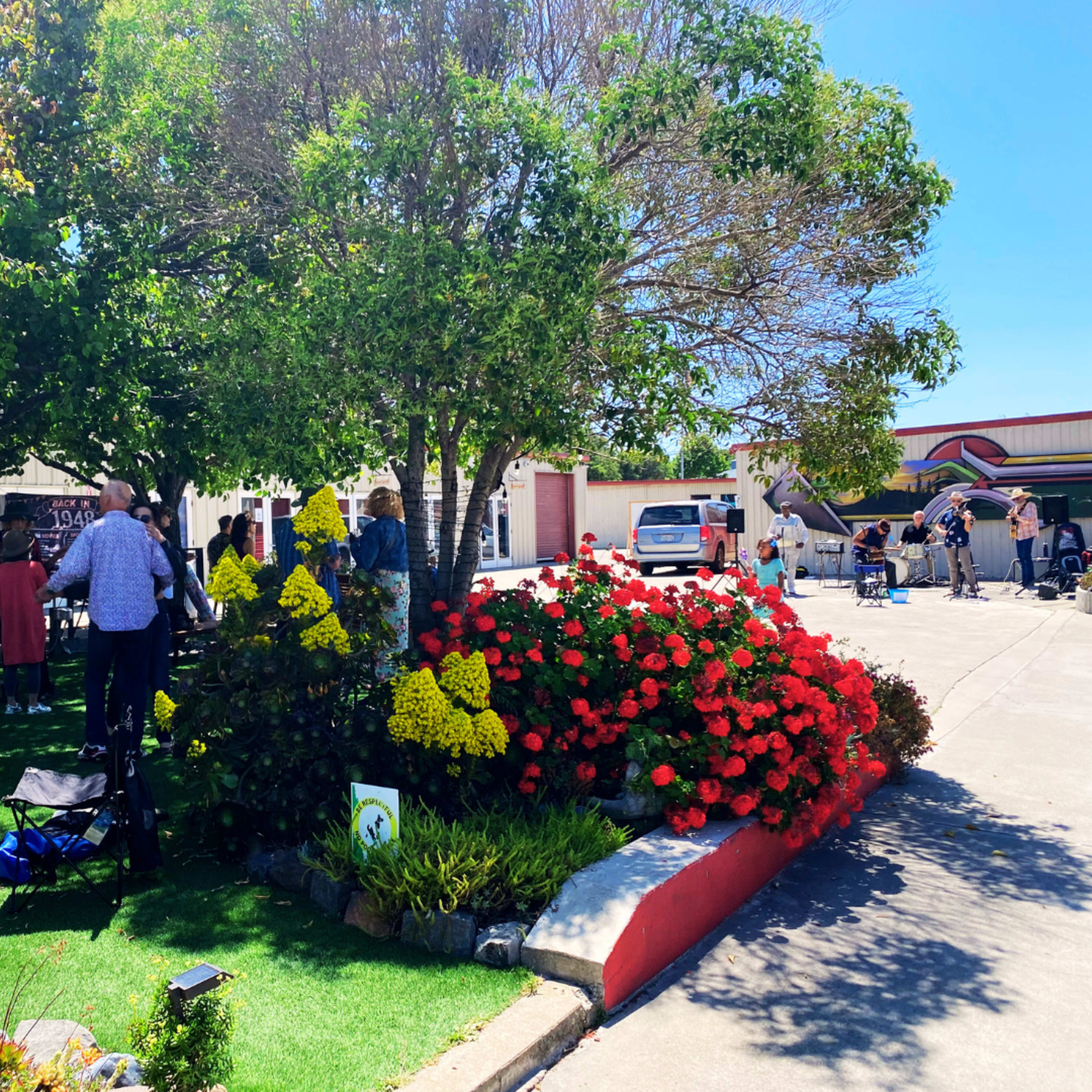A vibrant flower bed filled with red and yellow blooms is located near a tree, next to a parking area with people gathering and activities taking place.