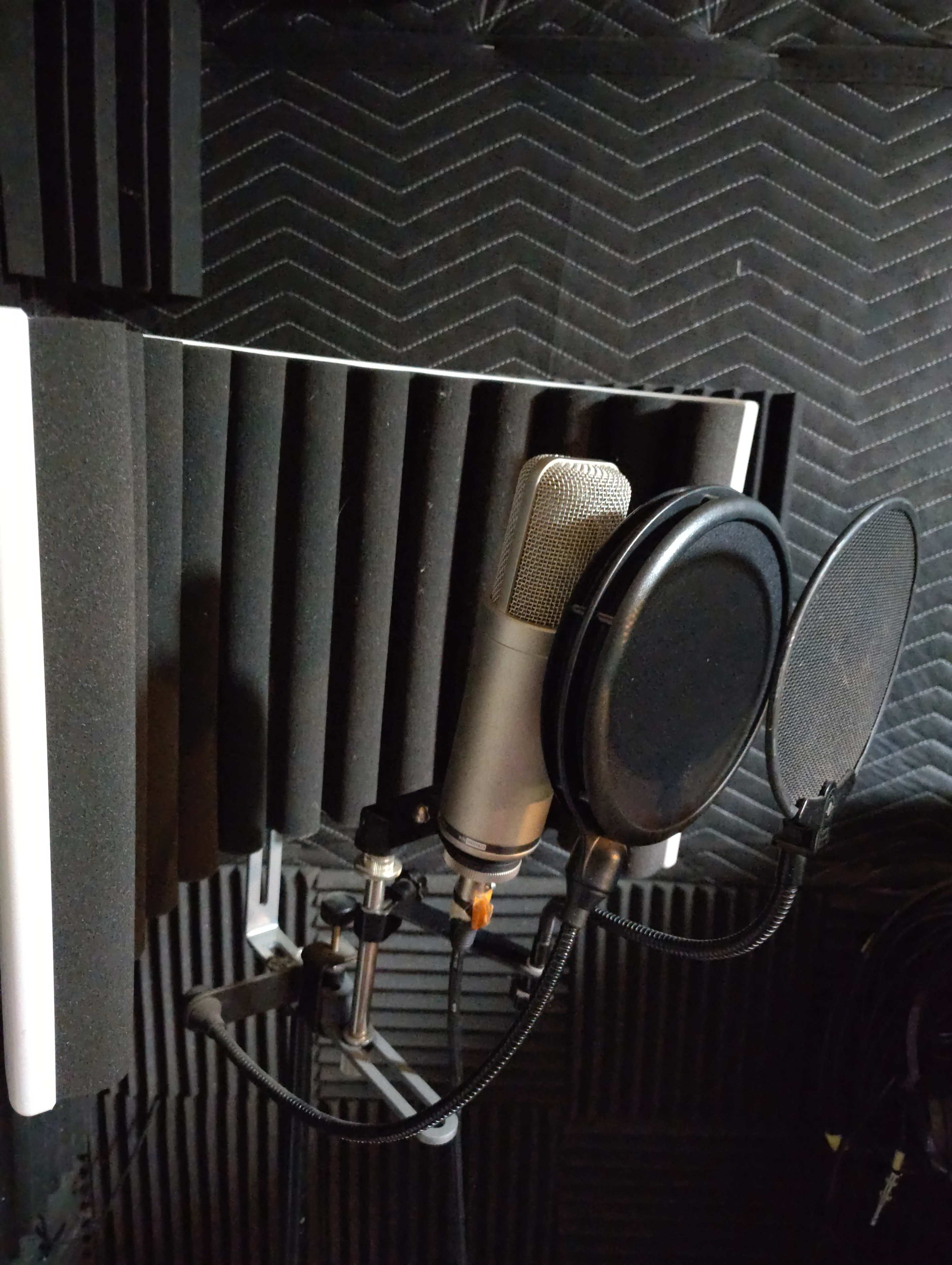 The image shows a microphone setup with a pop filter in a soundproofed recording booth.